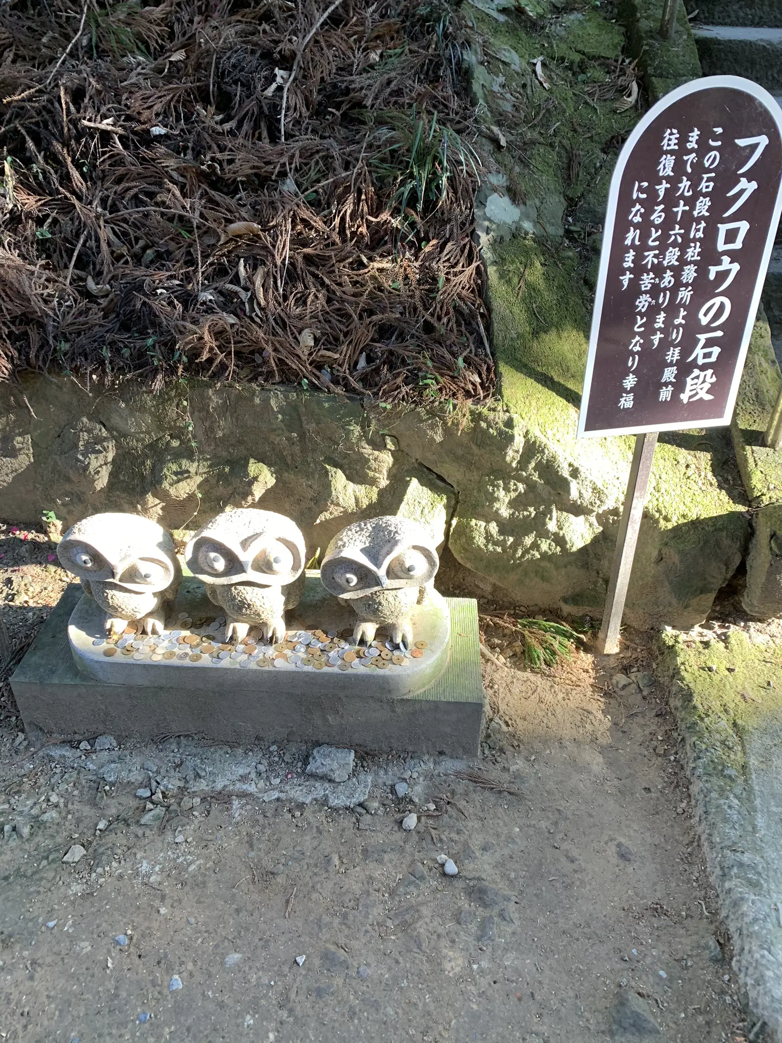 日本一のフクロウがいる珍しい神社⛩️ | tutuが投稿したフォト