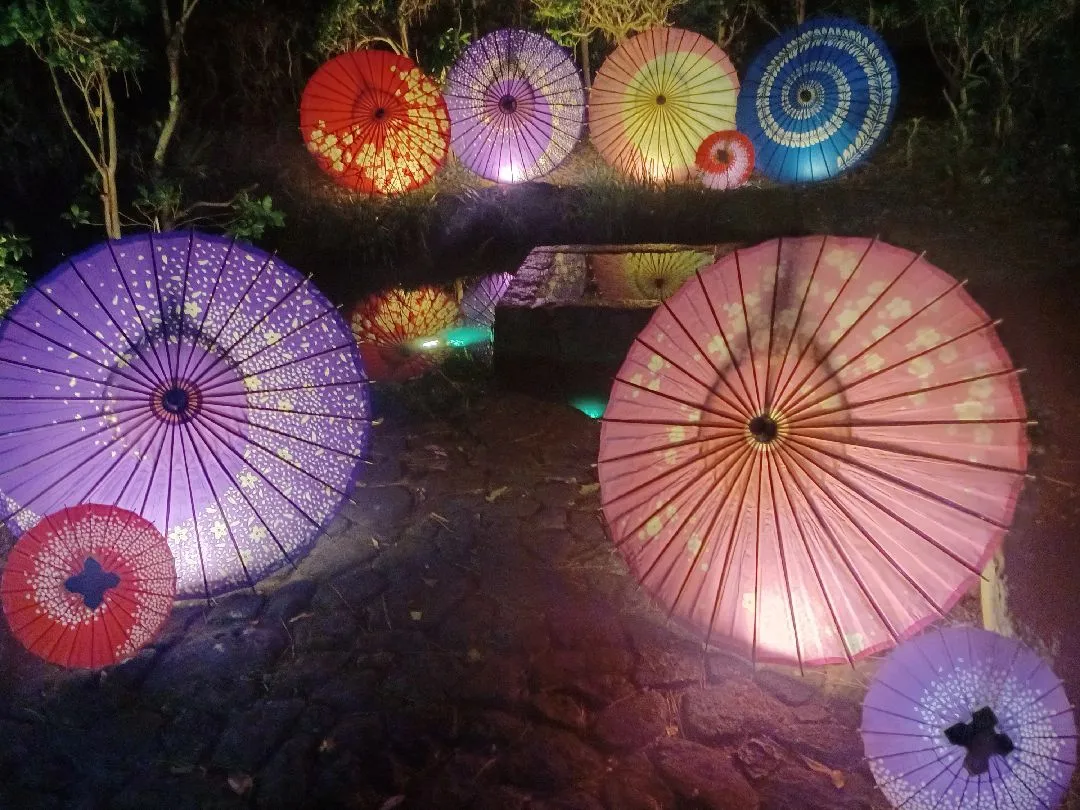 夏空　藍板締め染めの日傘 夏空 藍板締め染めの日傘 （藍の通販（62ページ目） | iichi