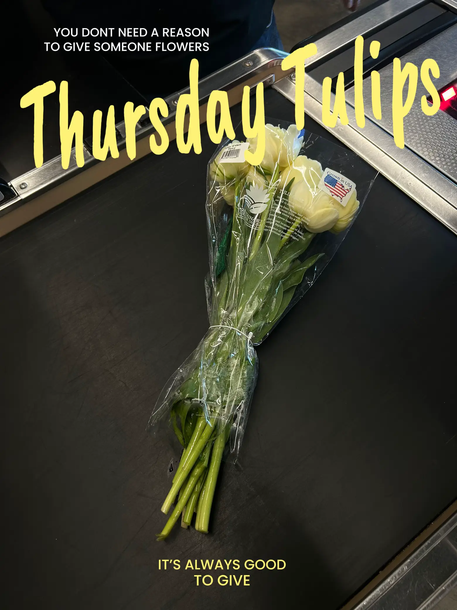Throwback Thursday: Tulip Sleeves