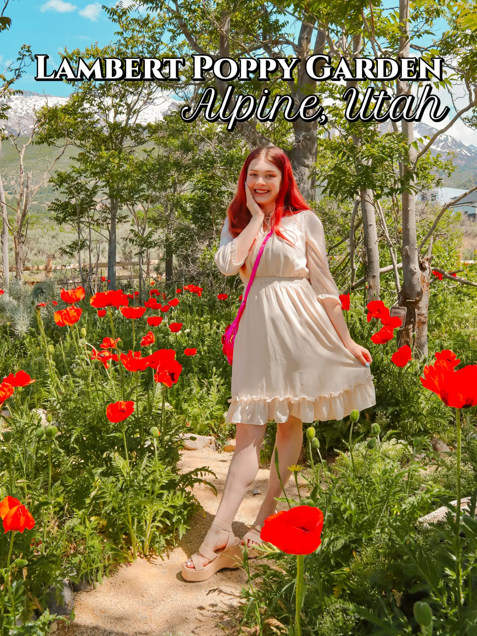 Lamberts Flowers Best Flower Site