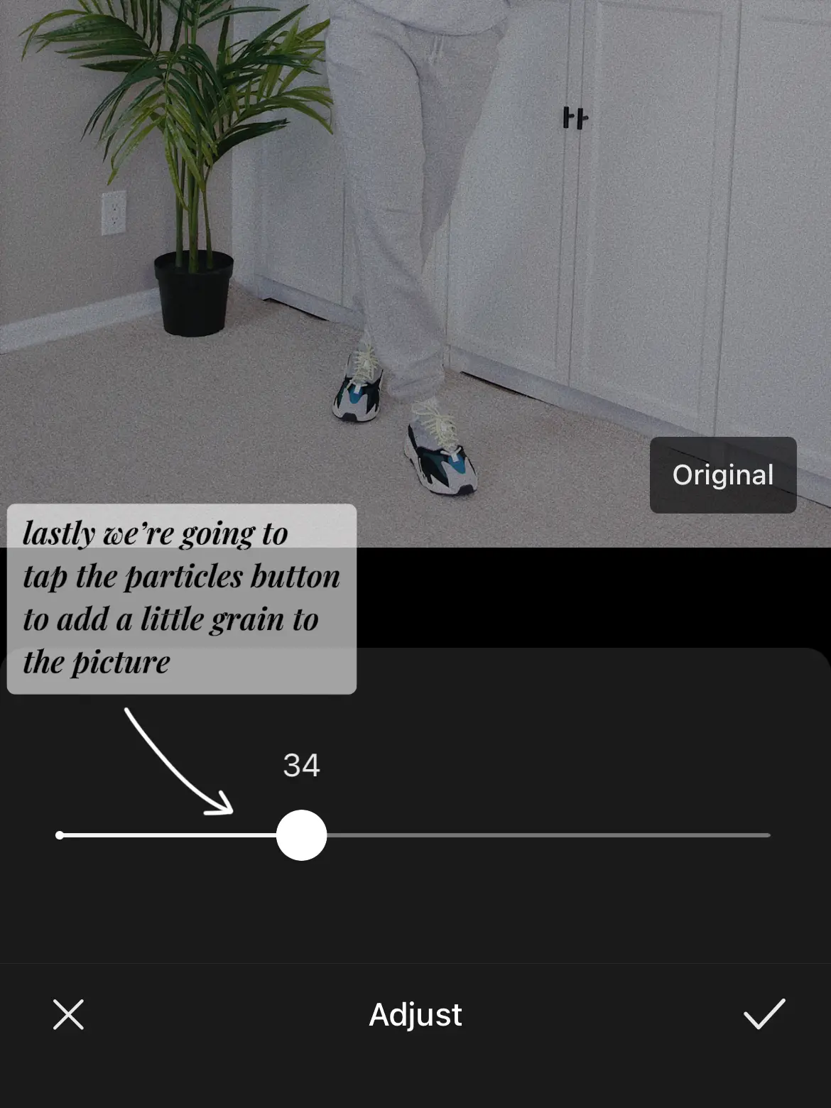  A person is standing in a room with a potted plant. They are wearing shoes and are about to tap the particles button to add a little grain
