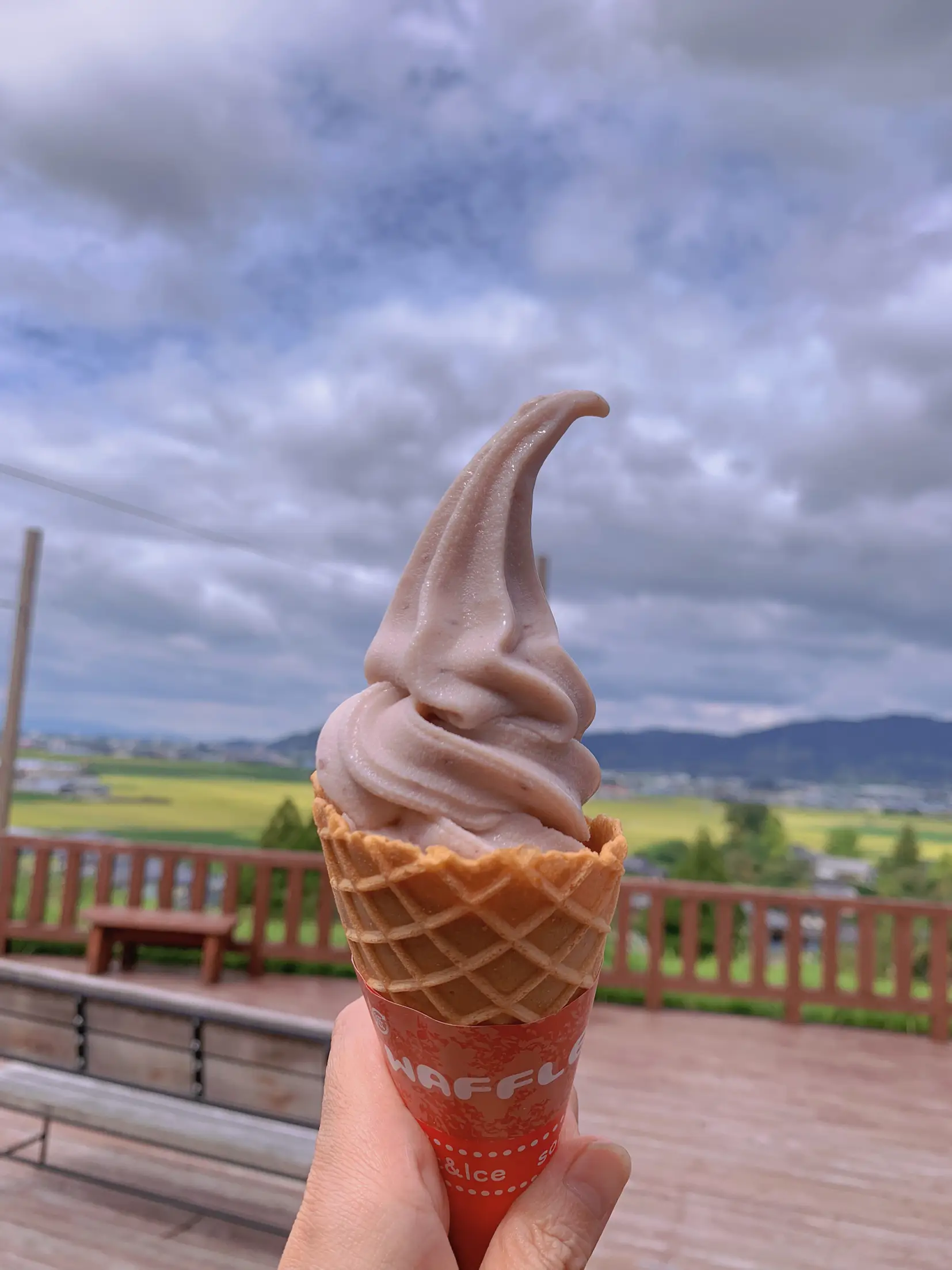 福岡県浮羽道の駅🍇季節限定ピオーネソフトクリーム🍦 | namiが投稿したフォトブック | Lemon8