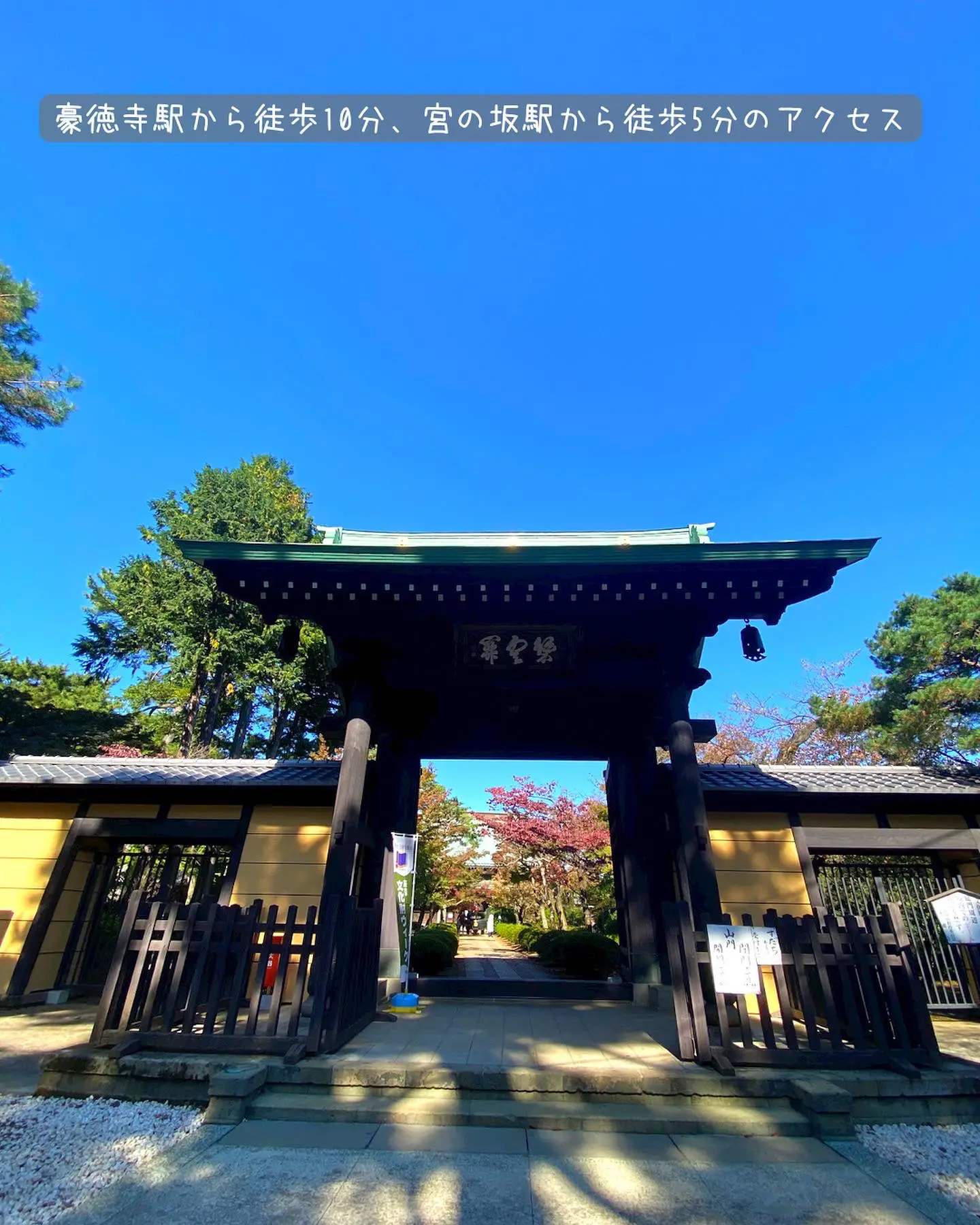 たくさんの招き猫に会えるお寺 | がみが投稿したフォトブック