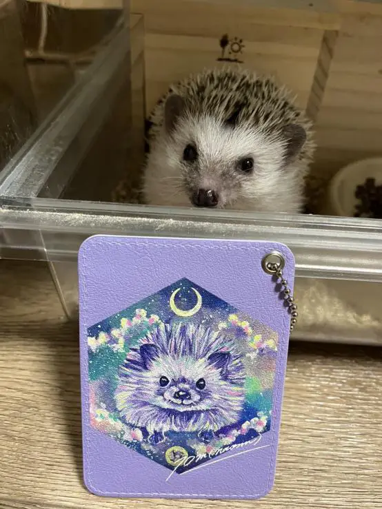 かわいいハリネズミグッズ🦔 | 70m(naomi)🌙絵描きが投稿したフォト