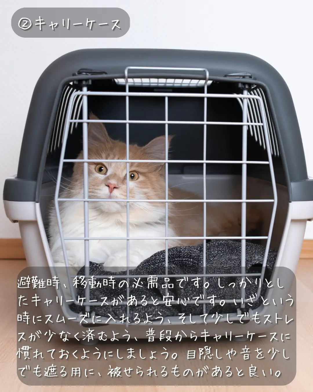 窓辺のペットのお気に入り場所に猫用ハンモック - Lemon8検索