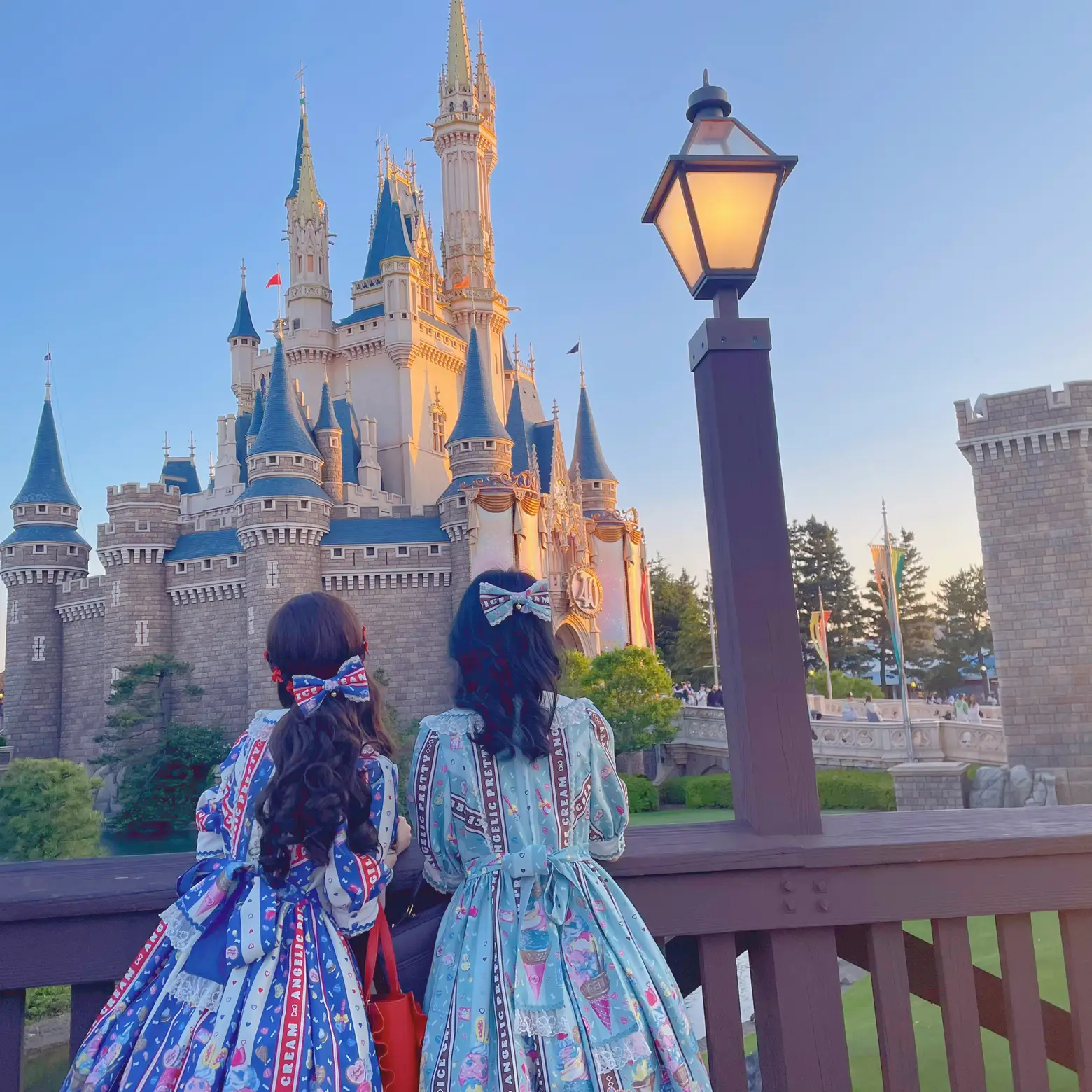 Lolita 🎀& Tokyo Disney🎀 | Gallery posted by 無骨鶏 | Lemon8