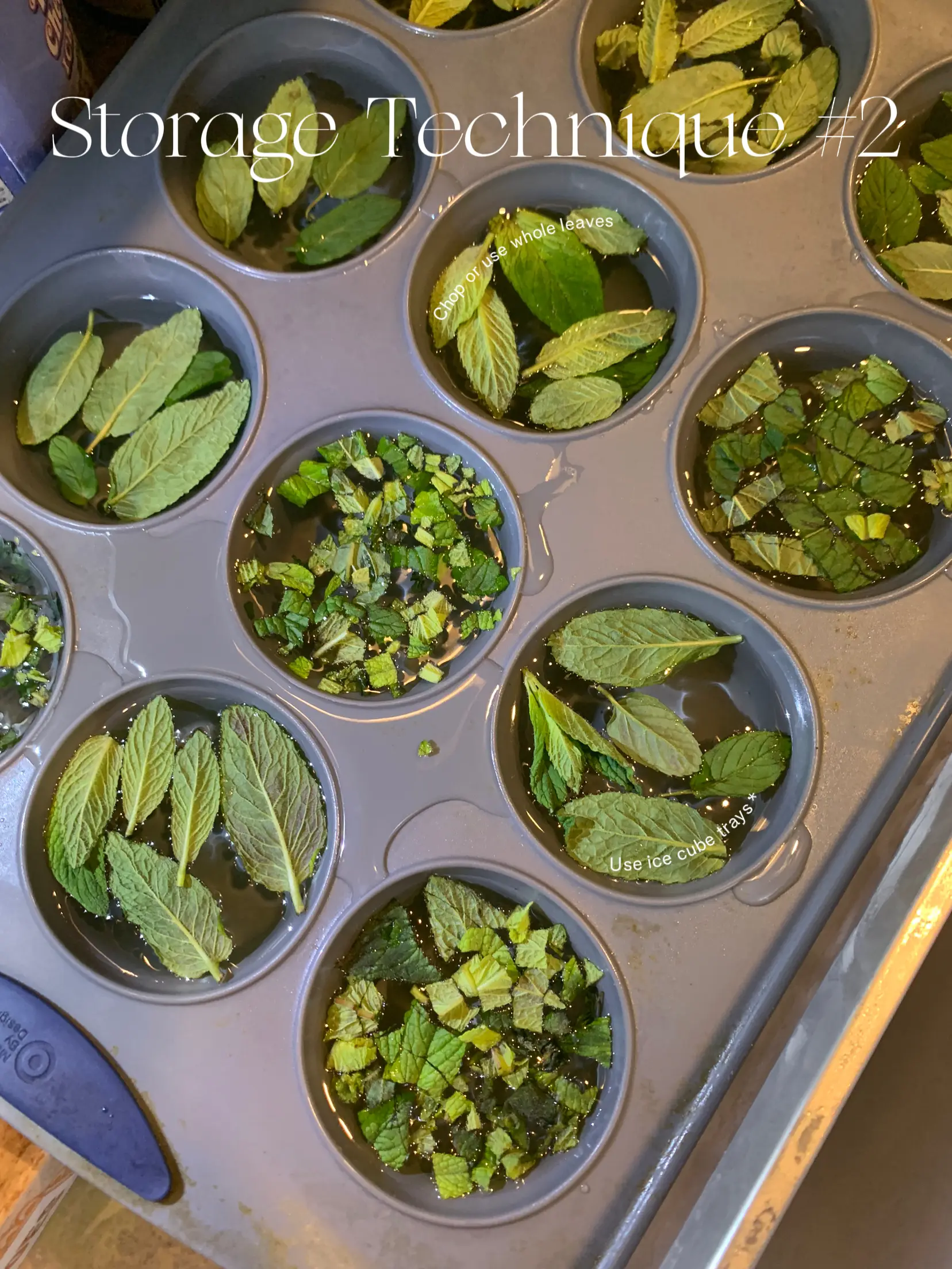 How to Store Mint: Storing, Drying, and Freezing