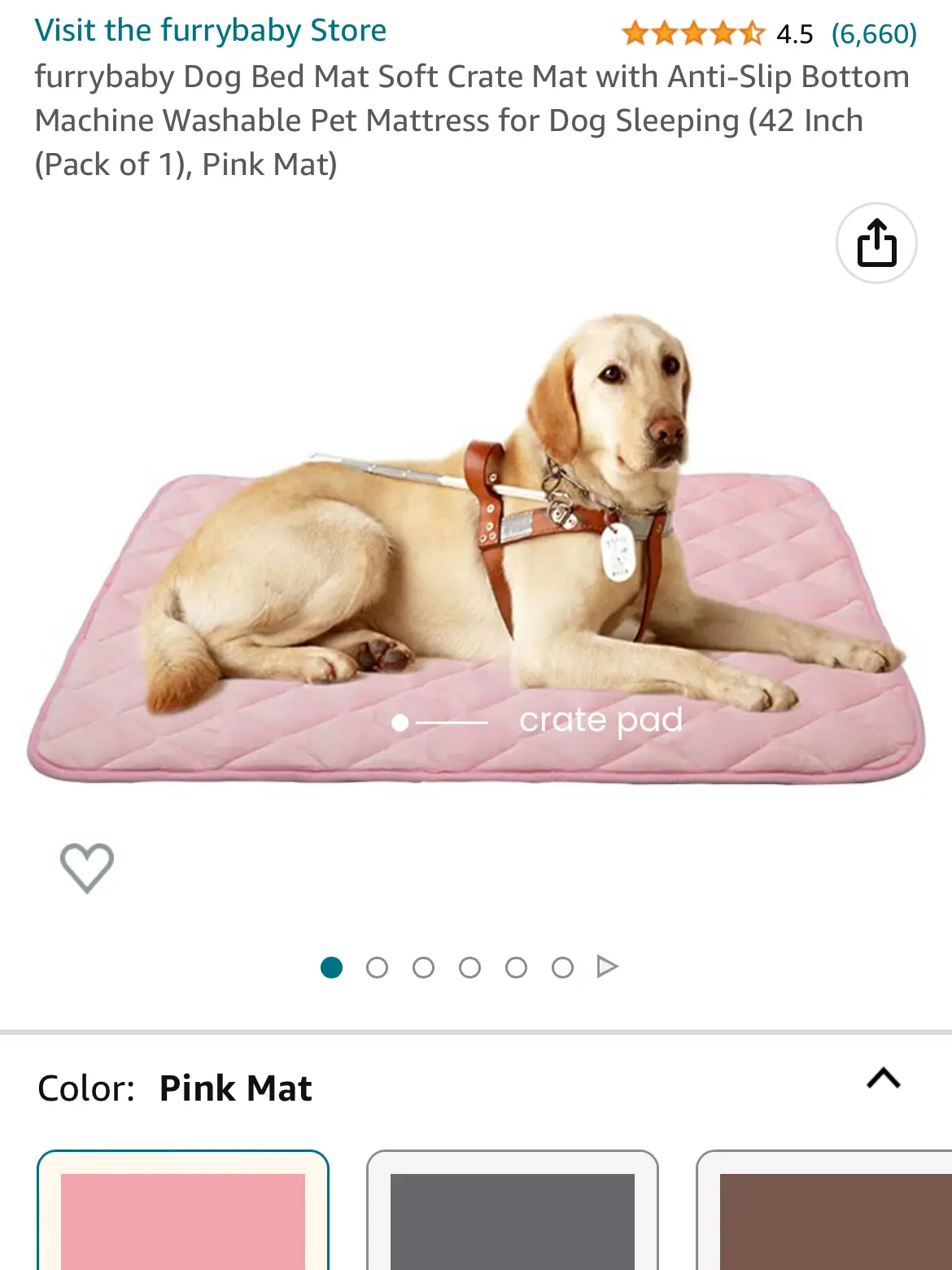 Dog menses outlet pad