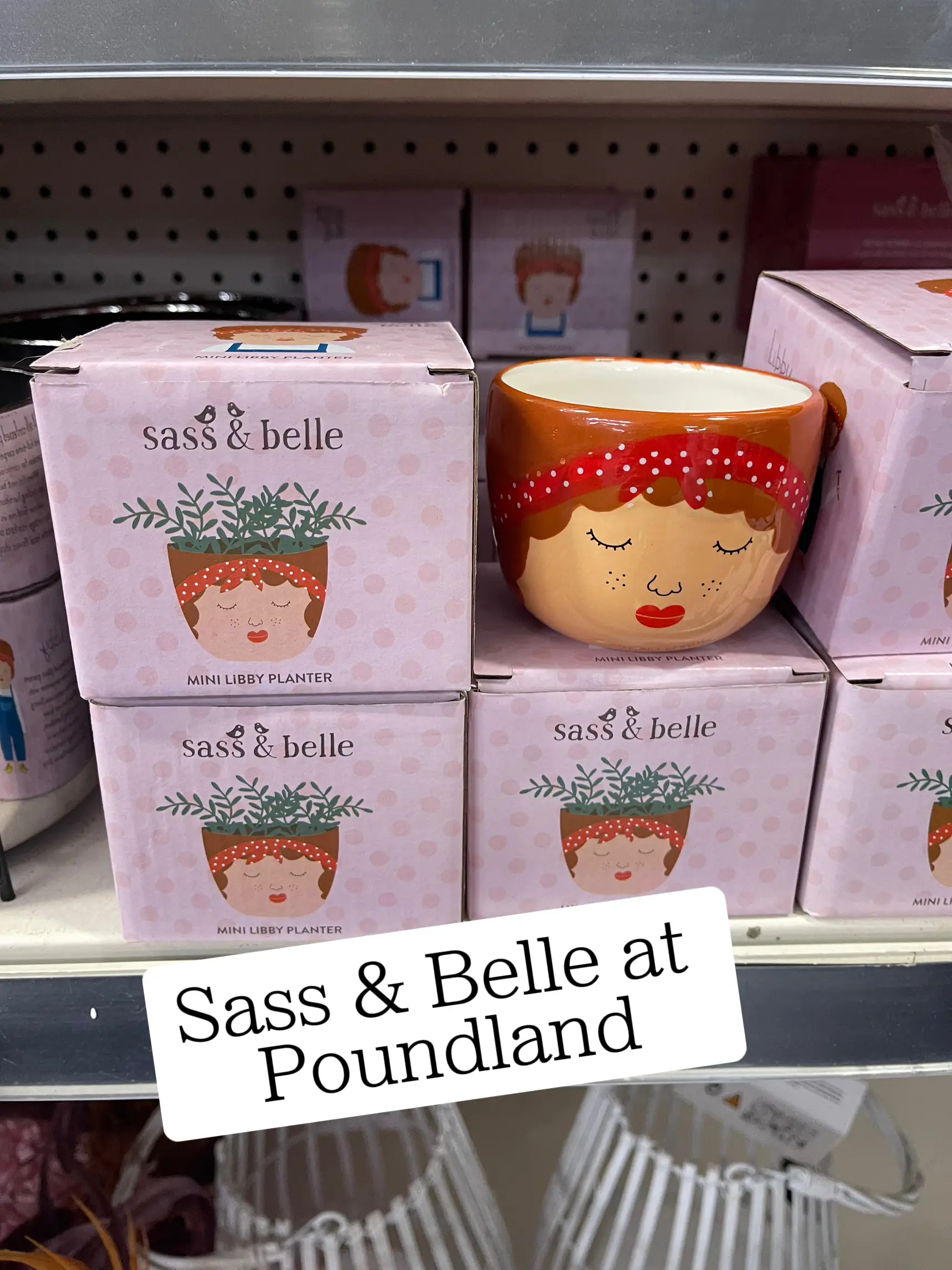 Fans of posh brand Sass and Belle stunned as their planters appear on the  shelves at Poundland for just £2.50