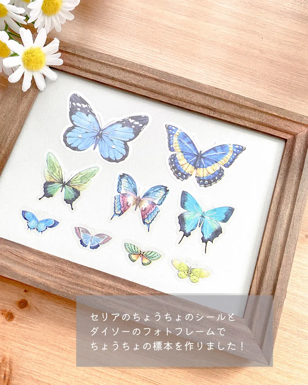 ファブリック　フォトフレーム　ちょうちょ ファブリック フォトフレーム ちょうちょ 【公式通販】