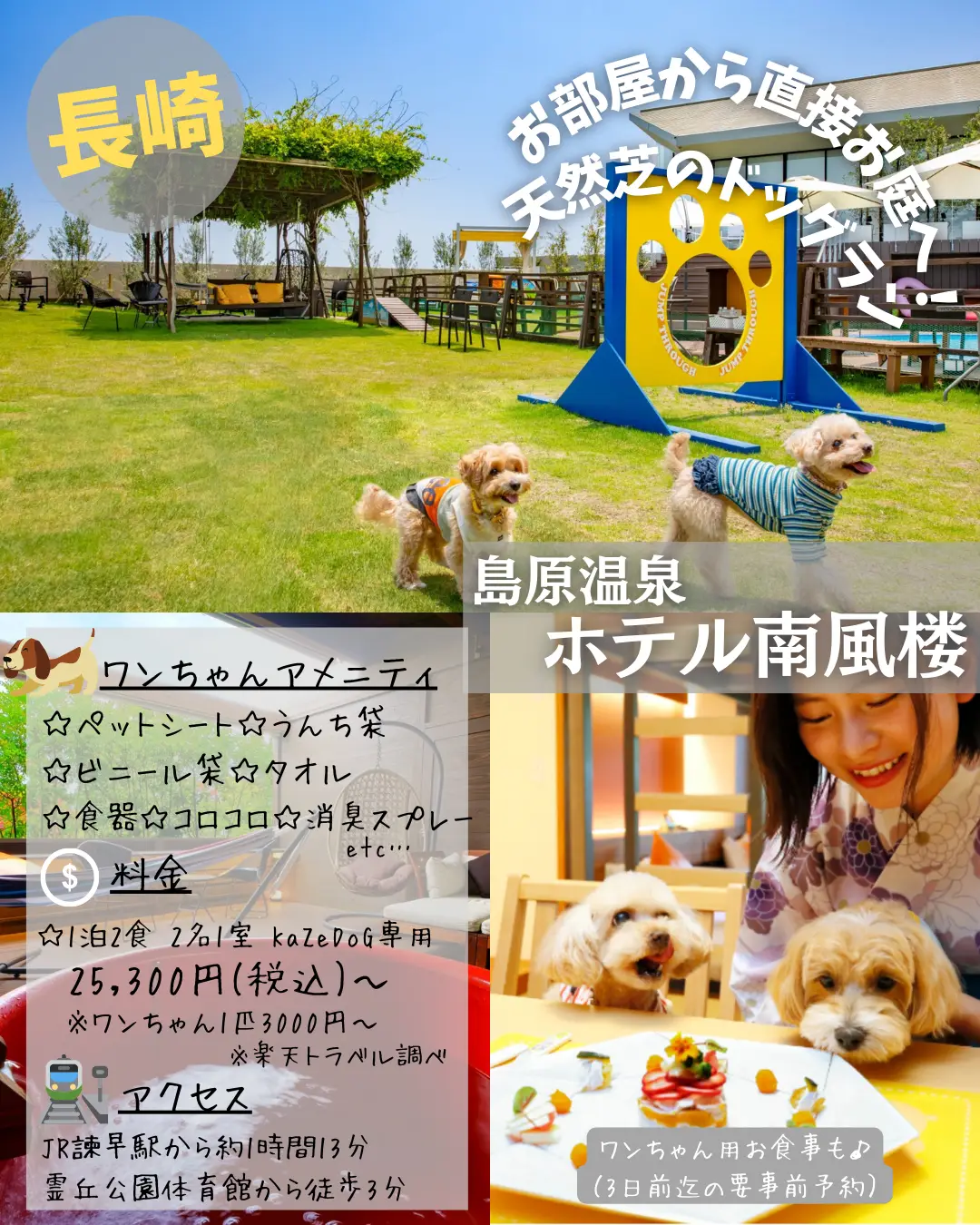 千葉 犬 ドッグラン 宿 - Lemon8検索