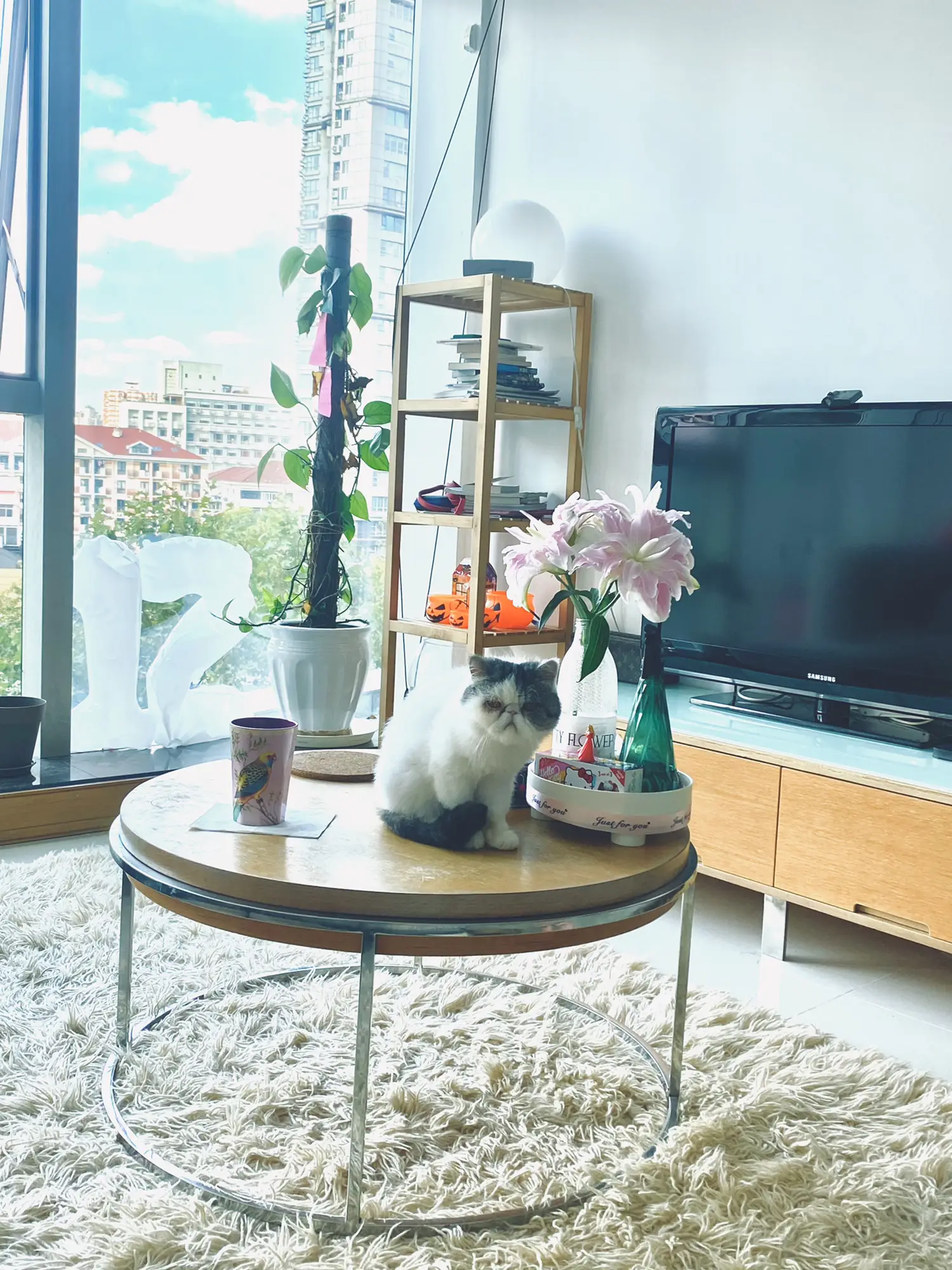 油絵、壁掛け絵原画手描き【童謡の花の中の猫ちゃん】