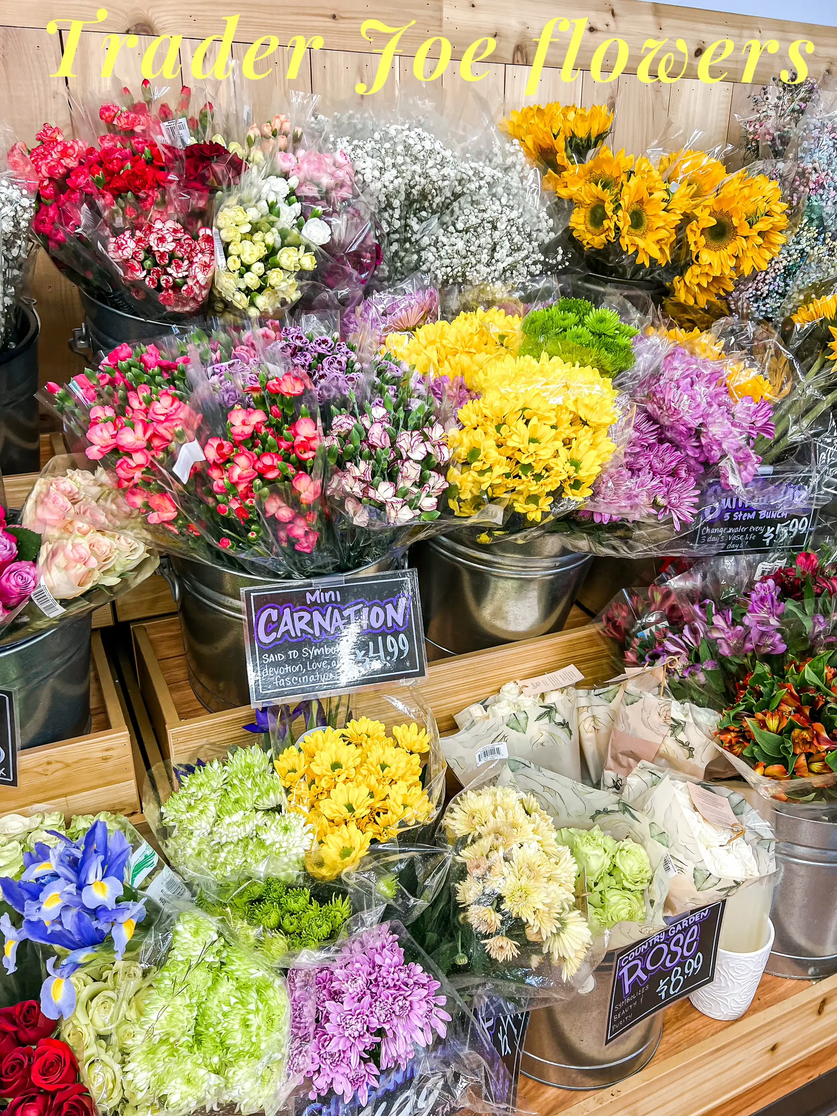 Trader joe's deals flowers