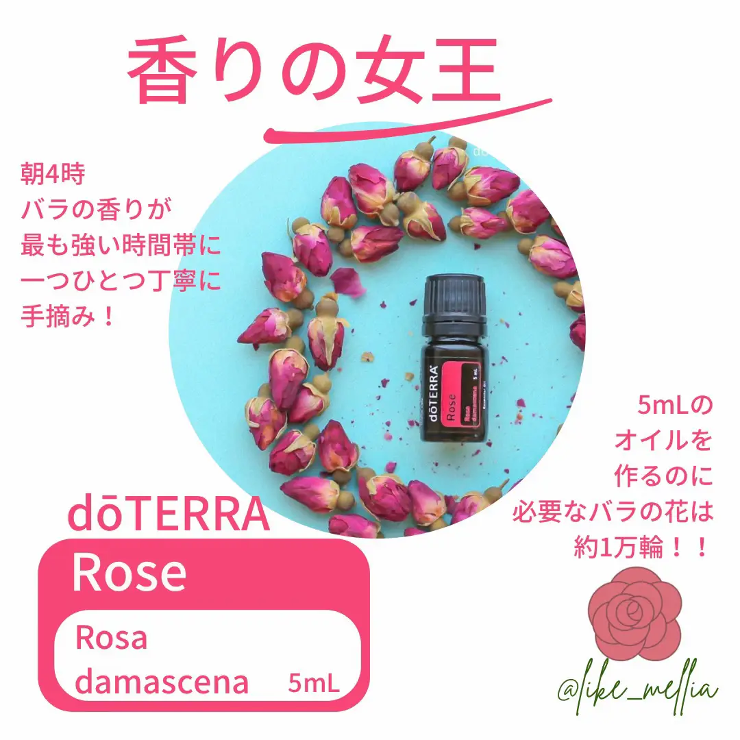 ドテラ ローズ5ml dōTERRA Rose Essential Oil - 5ml – dōTERRA