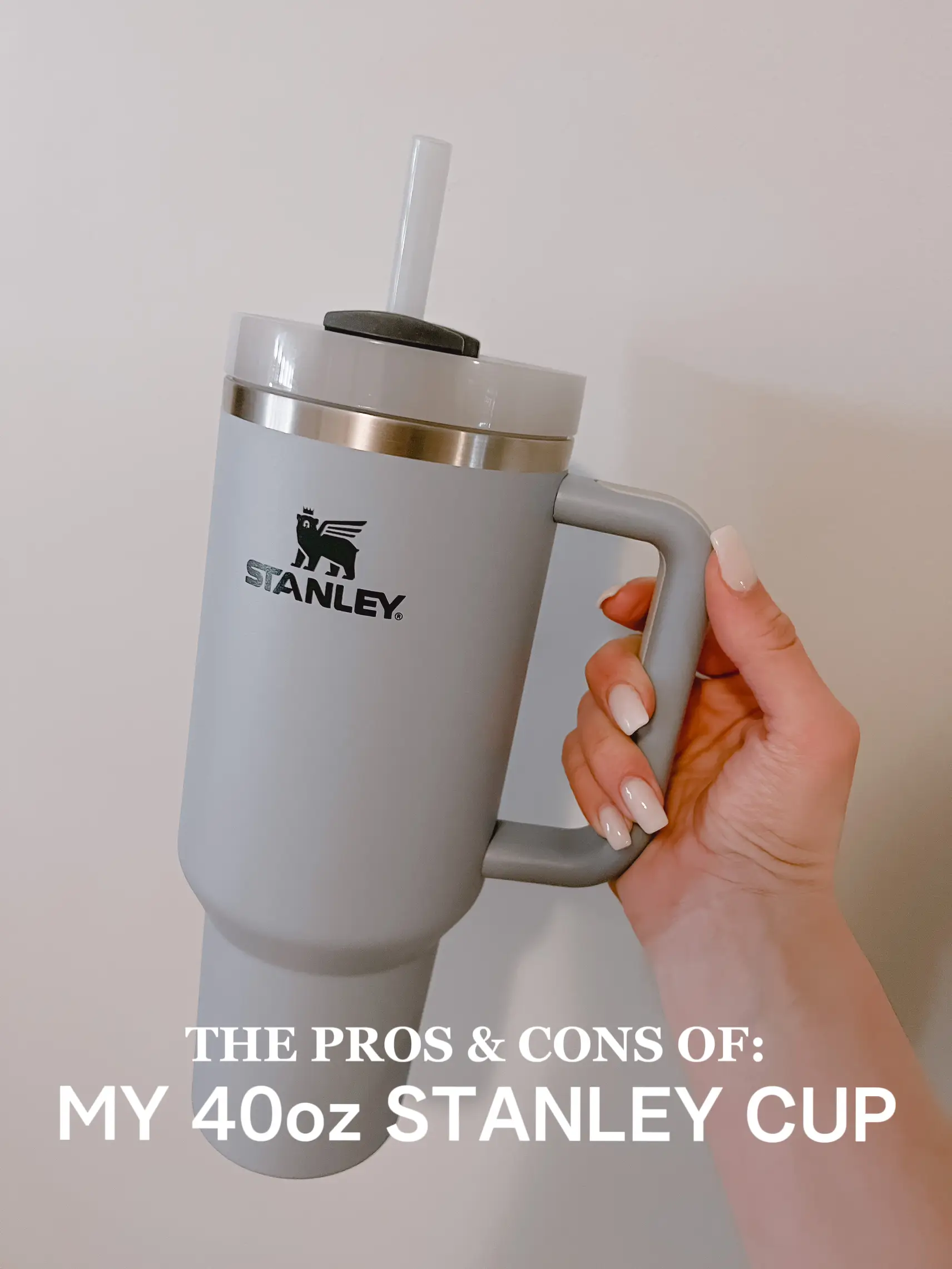 Is The Stanley Quencher Cup Worth It? Price, Review & More