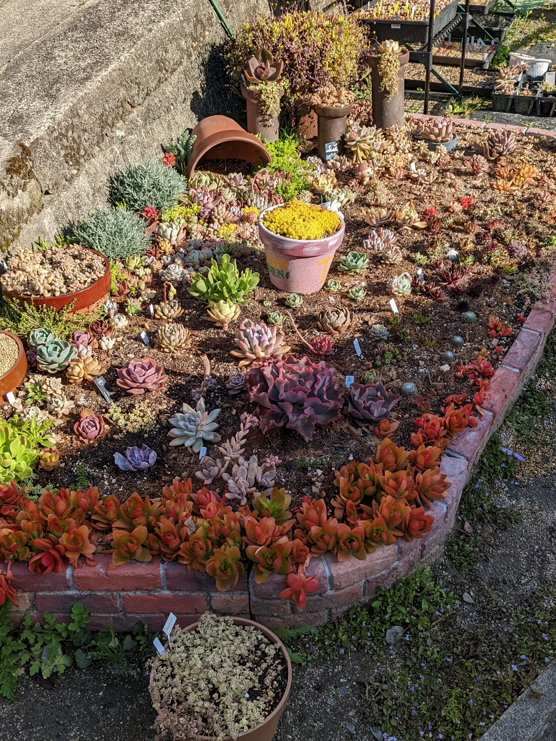 ドラム缶 リメイク 花壇 植木鉢 プランター 家庭菜園 ガーデニング ...