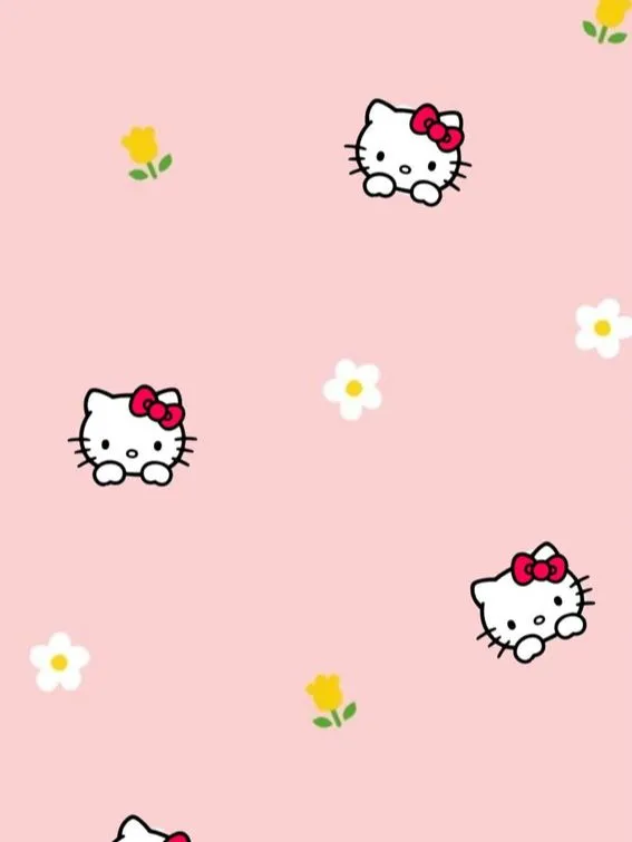 ⏤͟͟͞͞Sanrio wallpapers💋 | Gallery posted by 𝑨𝒏𝒊𝒆🫶🫣 | Lemon8