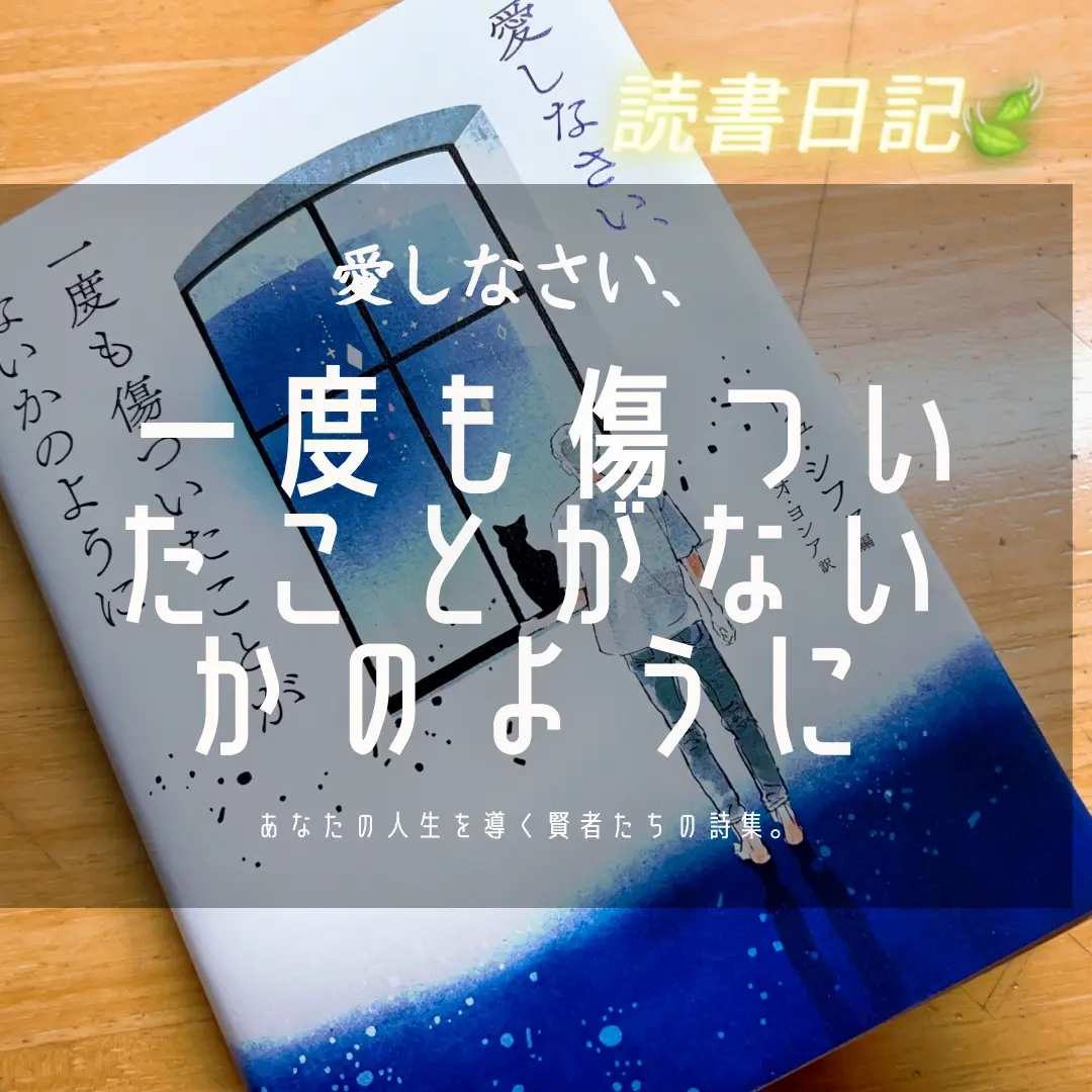 💜書籍『愛しなさい、一度も傷ついたことがないかのように』リュ