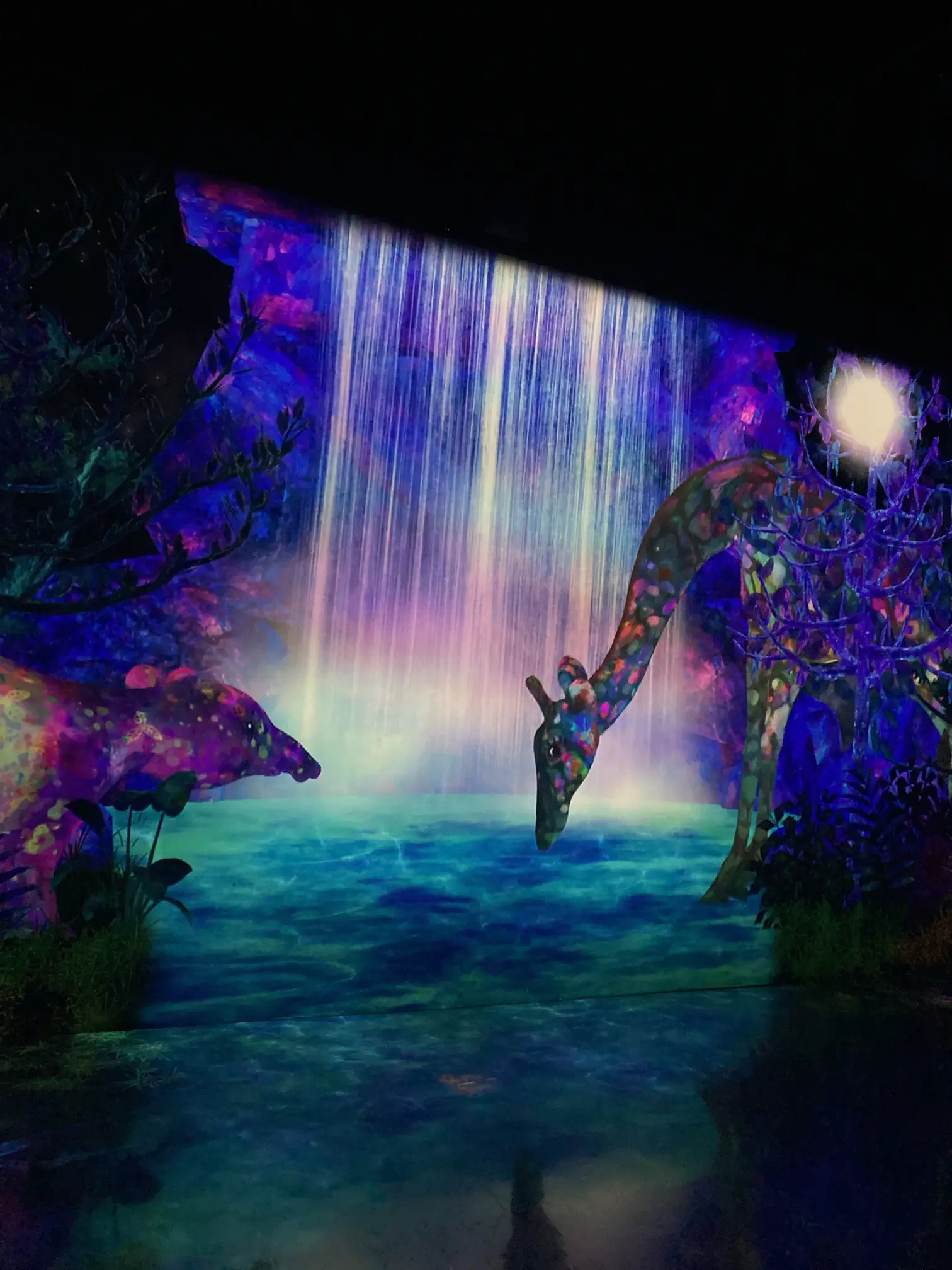 竹あかり・竹灯籠・ビー玉の煌き　〜〜光桜玉〜〜 竹あかり・竹灯籠・ビー玉の煌き 〜〜光桜玉〜〜 竹