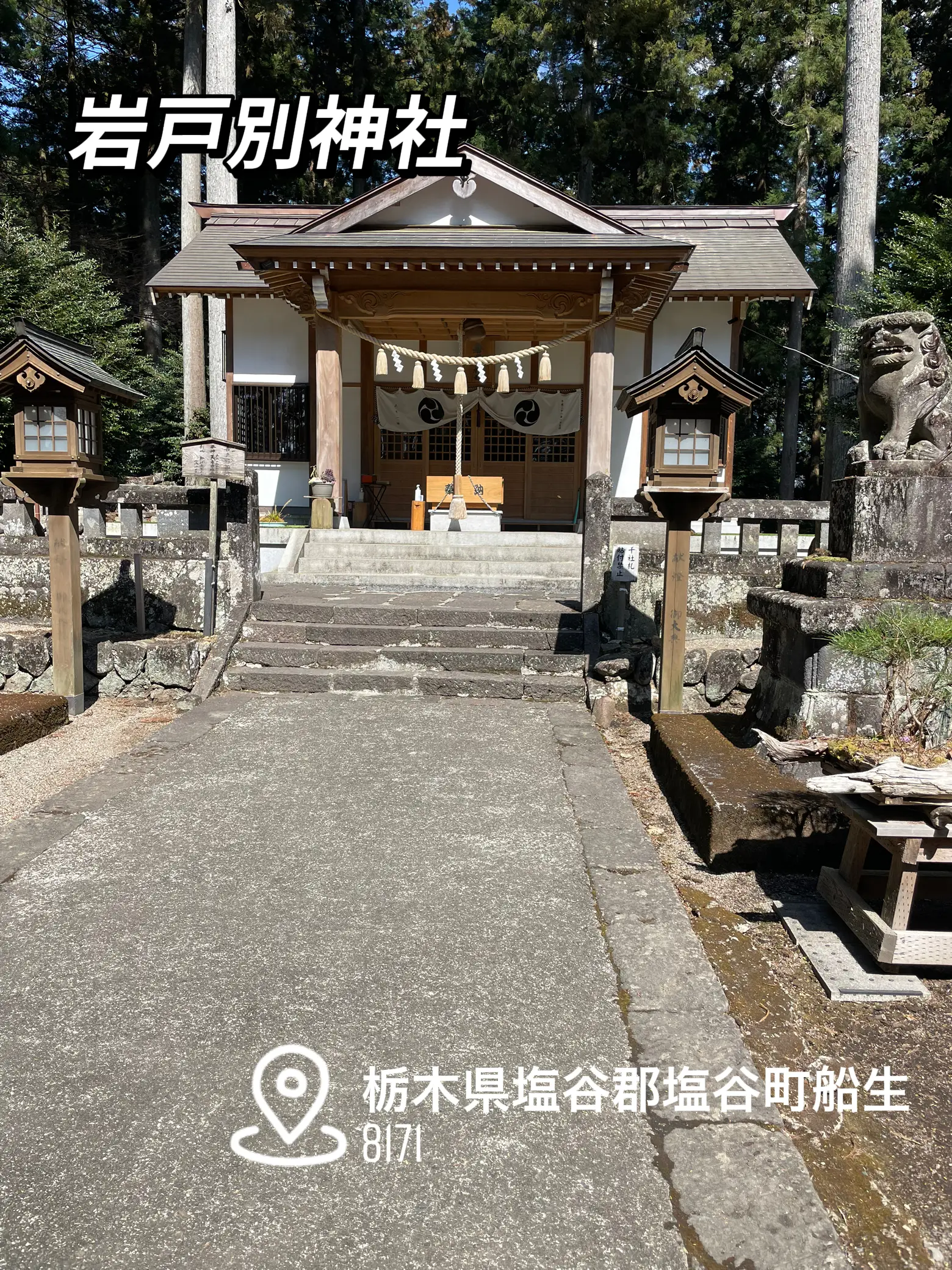 玉置神社 魔除け札 お守り 御札 奈良県 パワースポット - アンティーク 