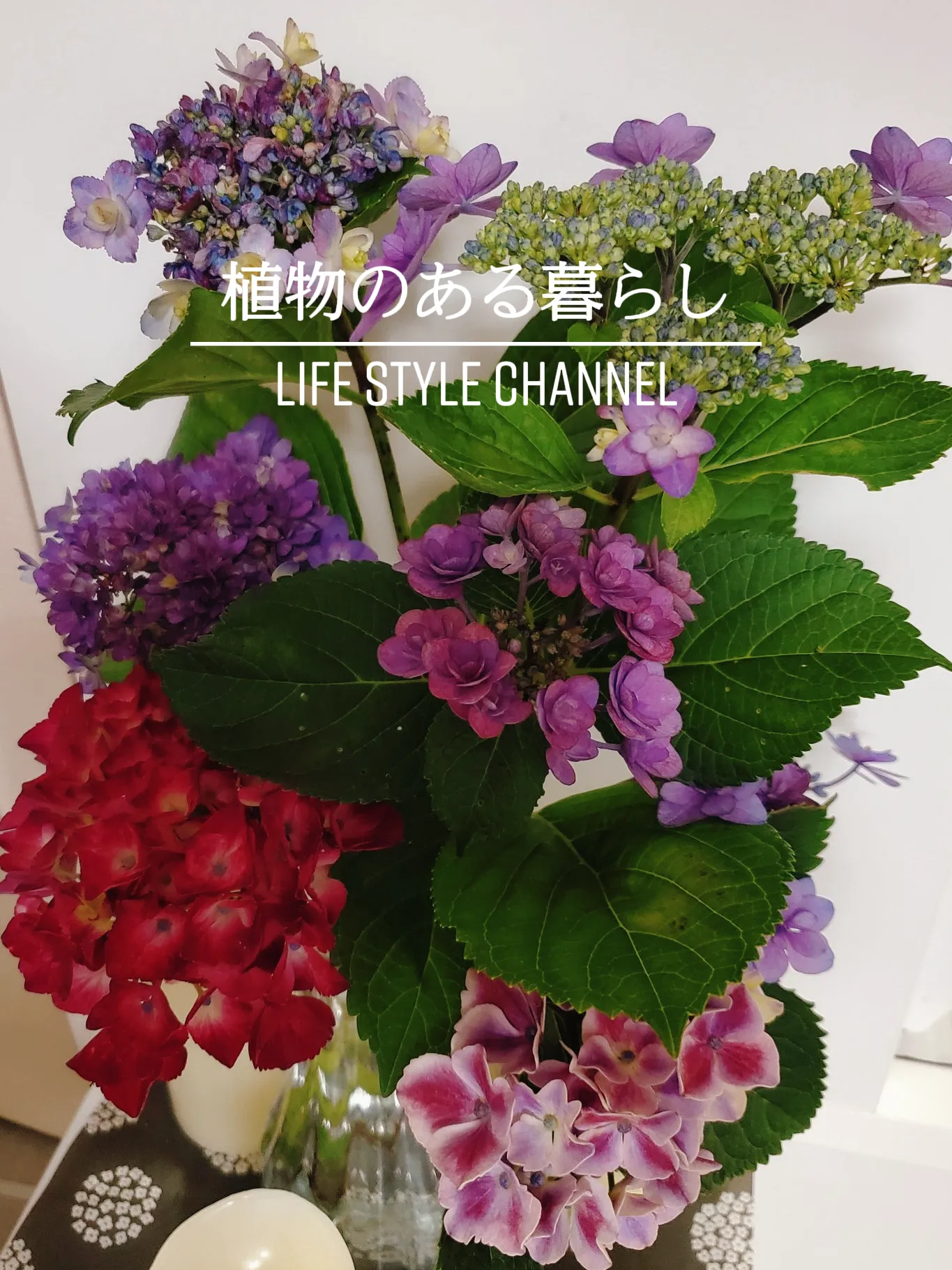 ソフトゆめ紫陽花♡アレンジ加工ラ❤️ 紫陽花のリースプレゼント 