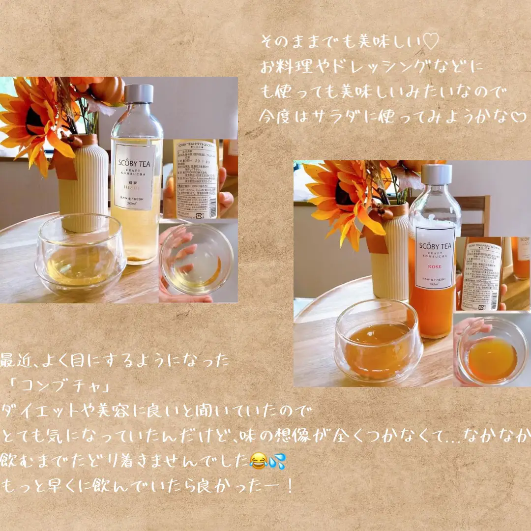 コンブチャク KOMBUCHA （コンブチャクレンズの人気商品・通販