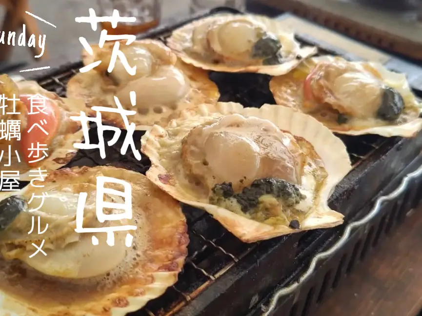 ガス 焼鳥台 牡蠣小屋 割引 魚介 海鮮 網磯焼 牛串 とうもろこし