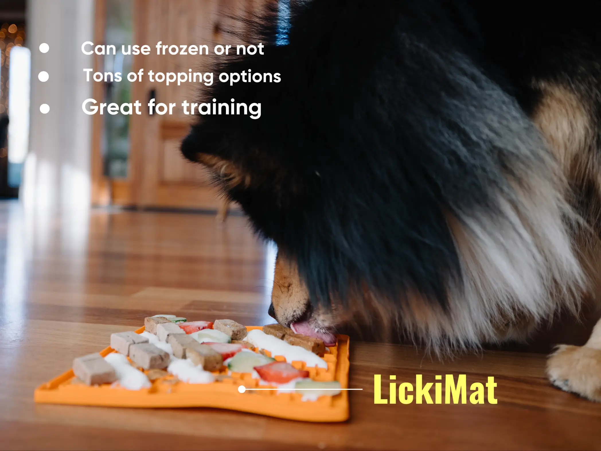 8 Indoor Dog Enrichment Toys for Scorching Hot Days – LifeSavvy