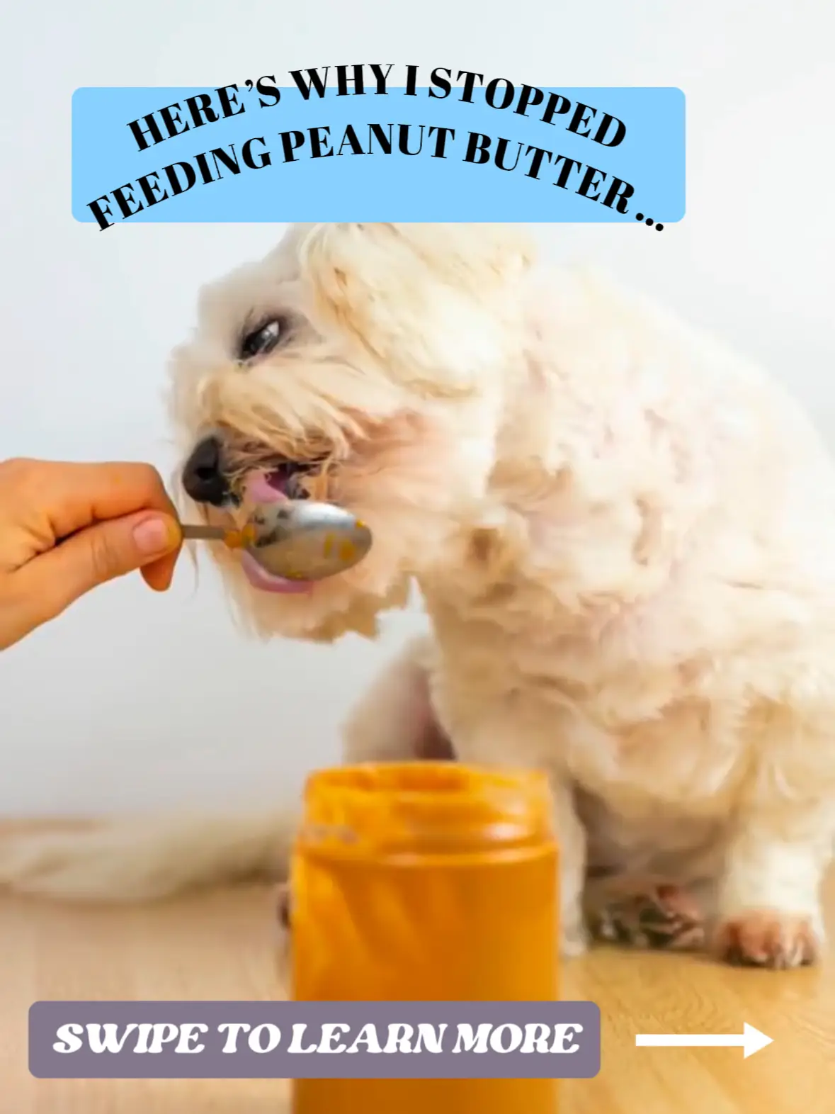 Why I STOPPED feeding peanut butter!, Gallery posted by Rachel Fusaro🐶