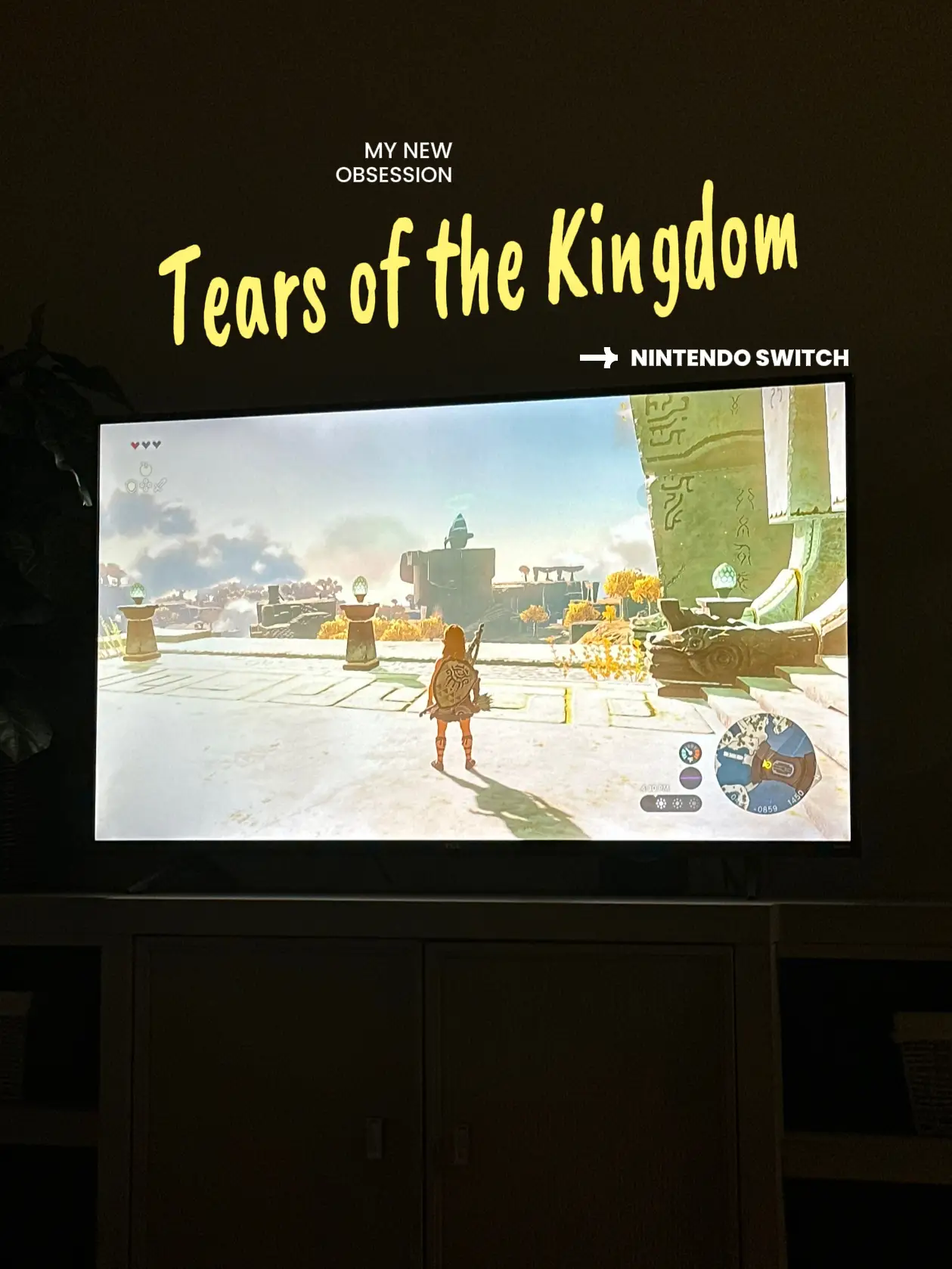 tears of the kingdom camera - Lemon8 Search
