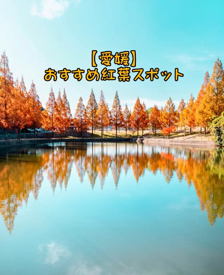 愛媛県】おすすめ紅葉スポット🍁 | tomoが投稿したフォトブック | Lemon8