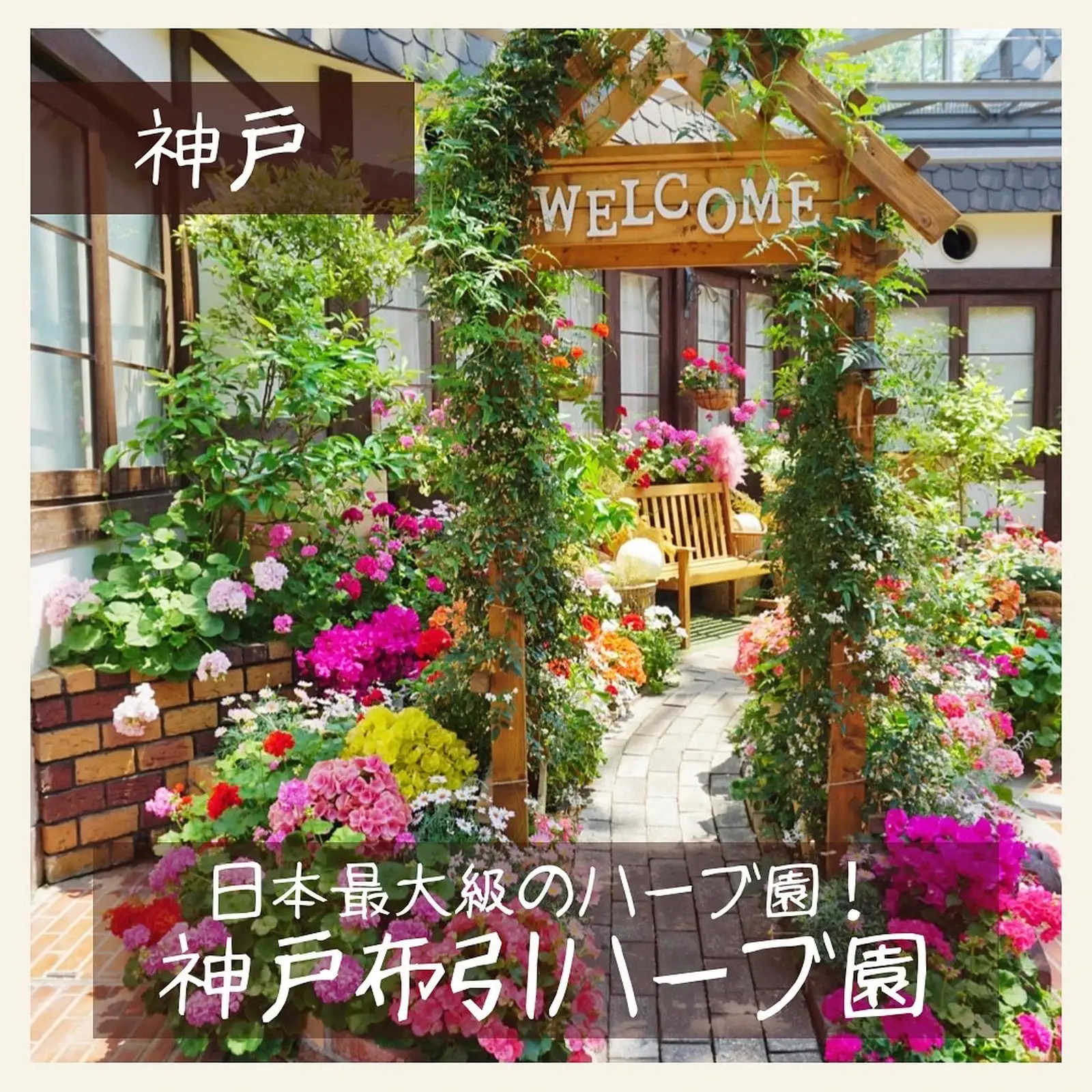 モモンガハウス（迷彩柄・ピンク）秋・春仕様 1900円