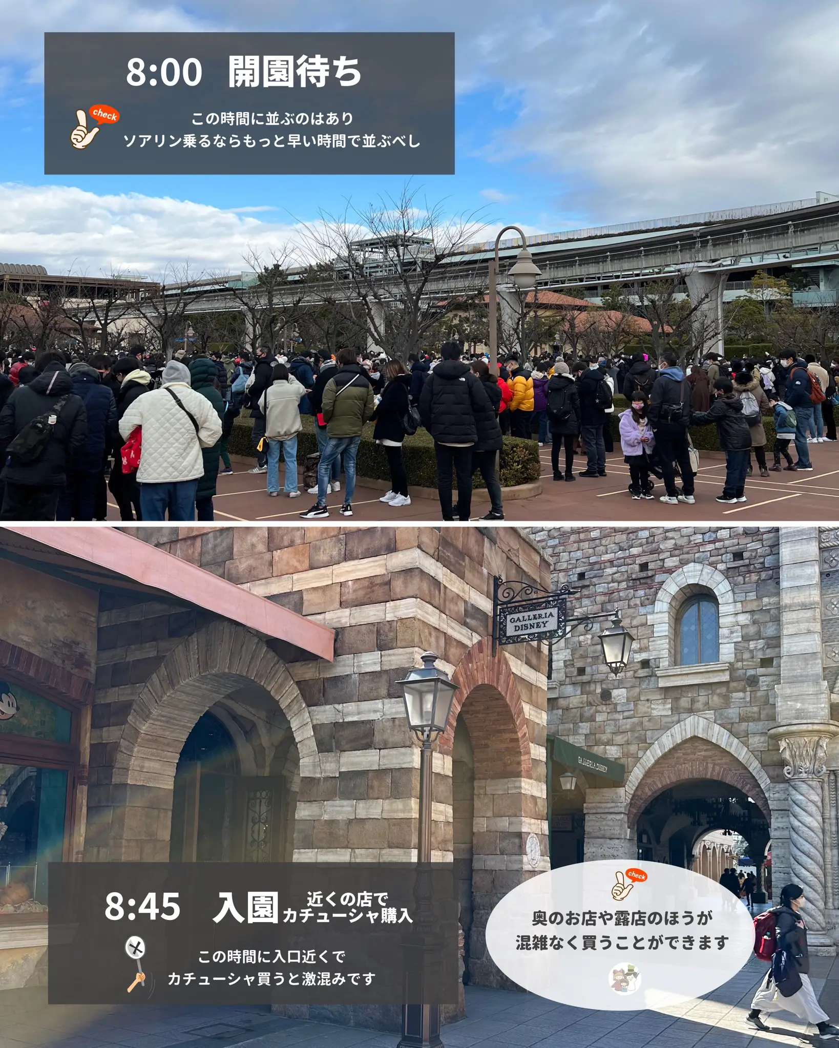 ディズニー 優先入場整理券 新エリア ソアリン 乗れます TDR TDL TDS