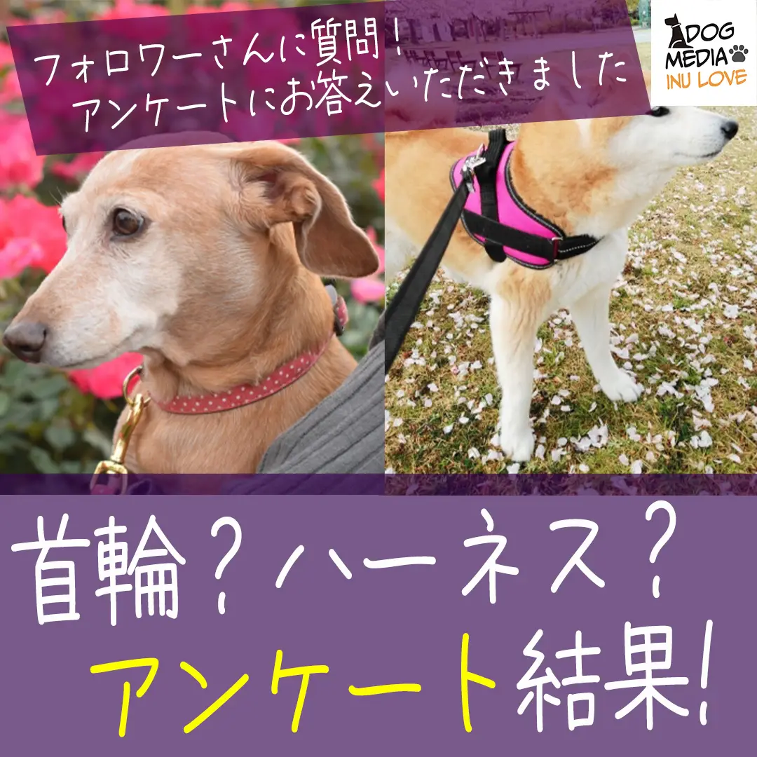 まる様専用☆犬のハーネスウェア☆着脱が簡単で抜け難い☆オーダー