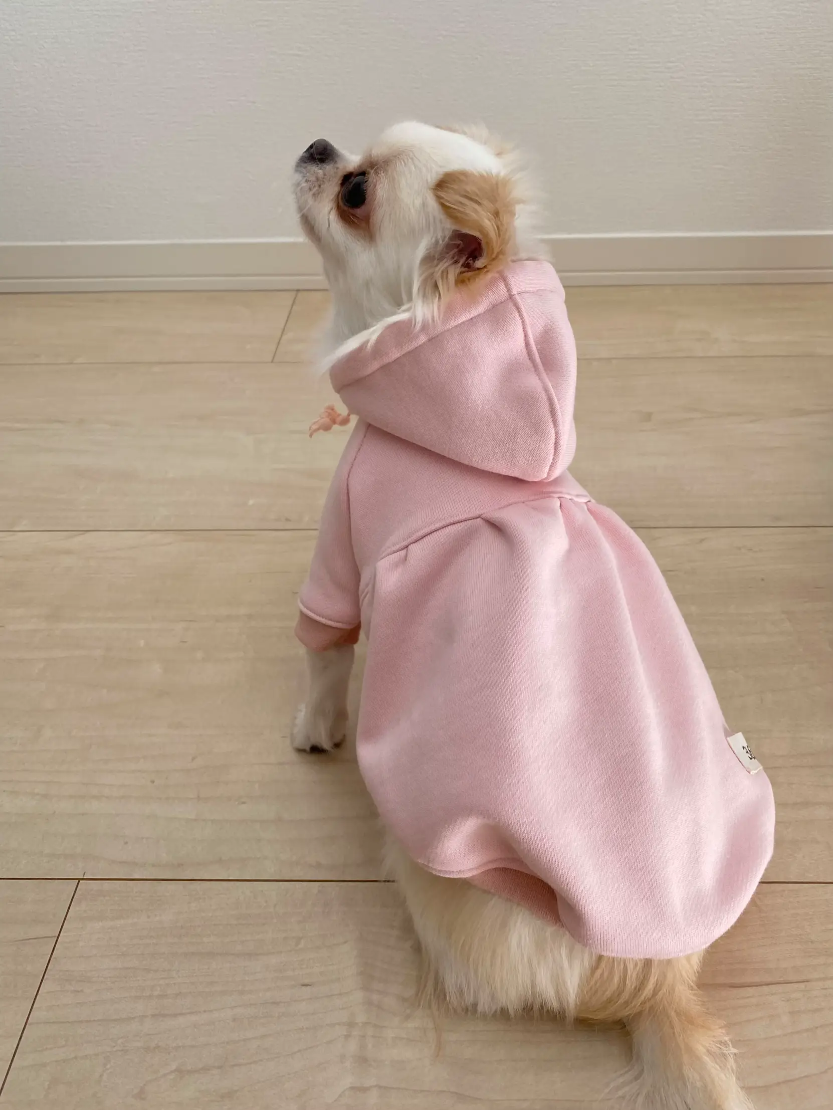 犬服ハンドメイド　ハッピーパーティ♡バルーン 犬服ハンドメイドハッピーパーティ♡バルーン