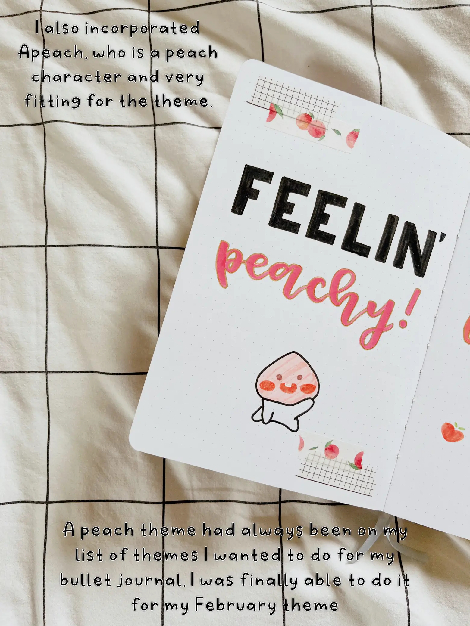 Bullet Journal Weekly Stickers  Peach Weekly BUJO Stickers