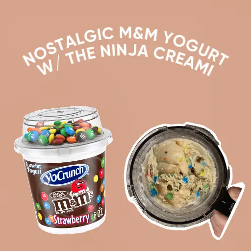 Ninja CREAMi Ice Cream Maker - Cultured Food Life