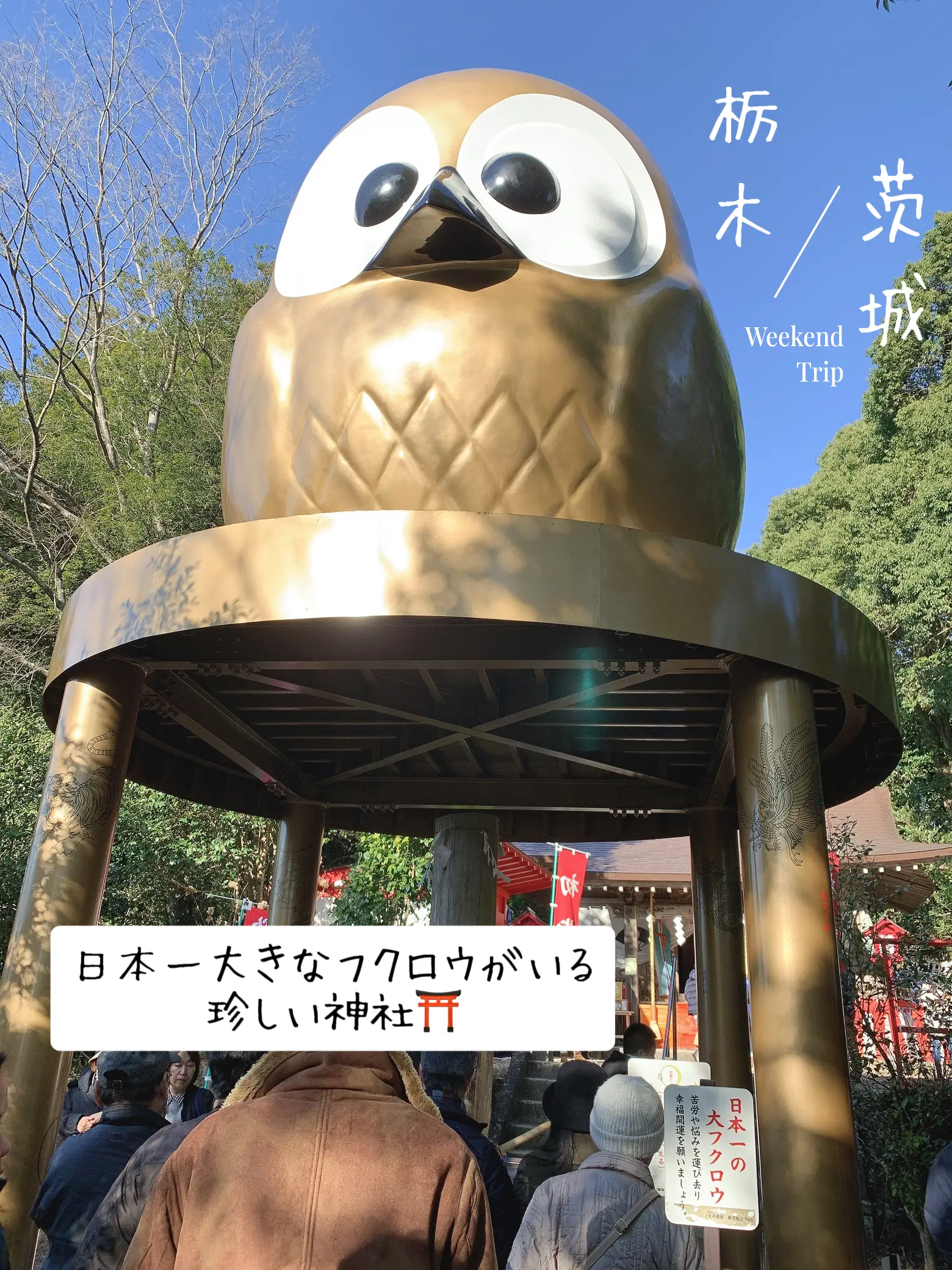 日本一のフクロウがいる珍しい神社⛩️ | tutuが投稿したフォトブック