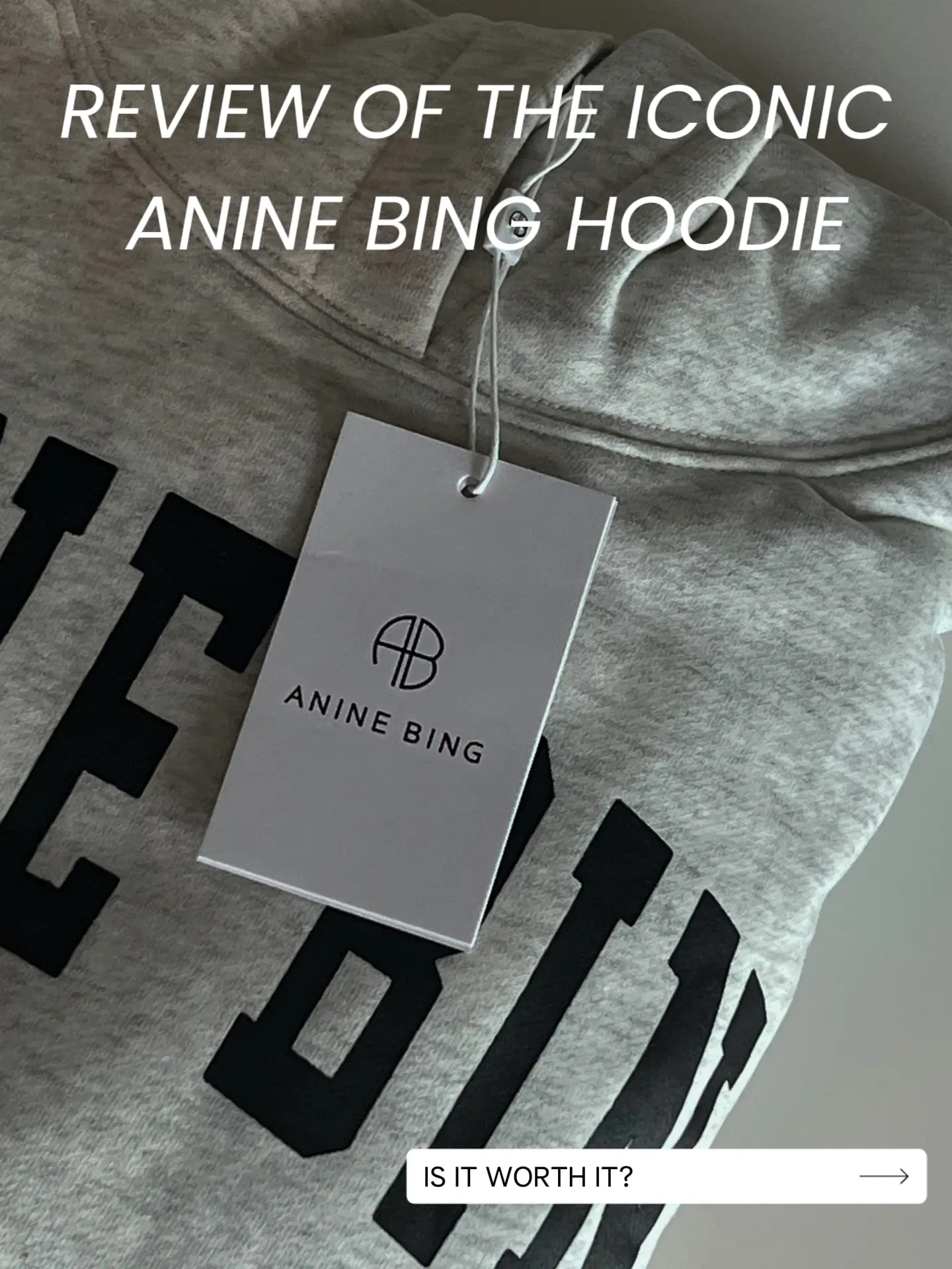Anine Bing Hoodie
