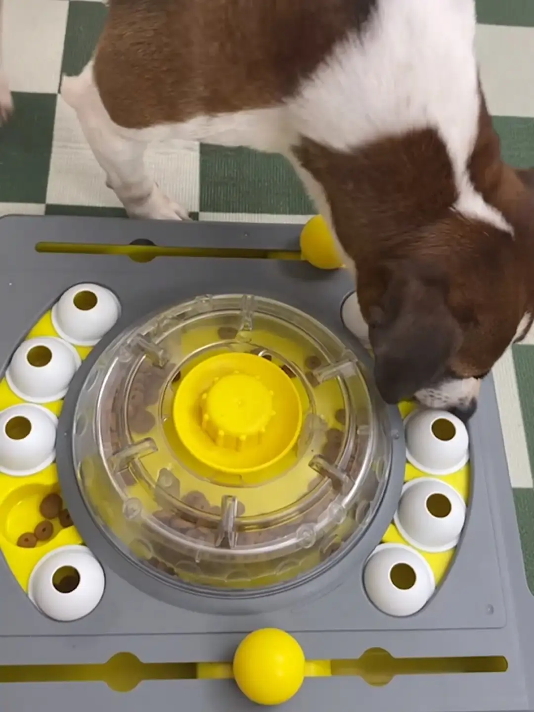 KADTC Interactive Dog Puzzle Toys for Boredom Stimulating Slow