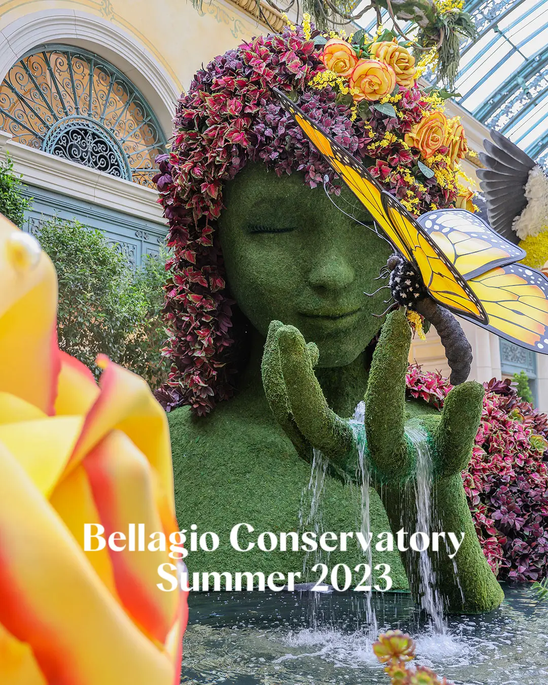 Bellagio Conservatory and Botanical Gardens in Las Vegas blossoms with a  new summer display - Las Vegas Magazine