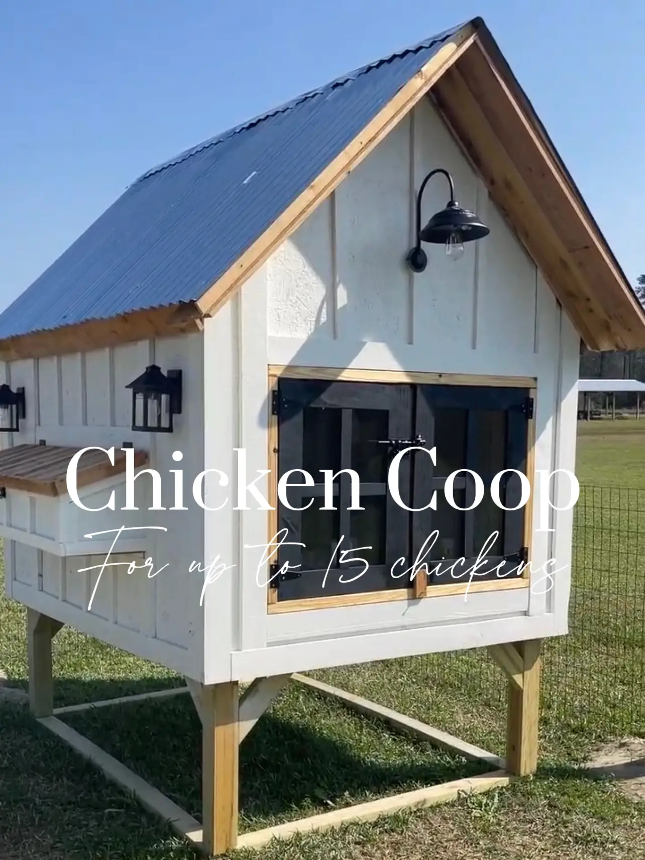 How To Make A Chicken Coop With Pallets: Model SiSi