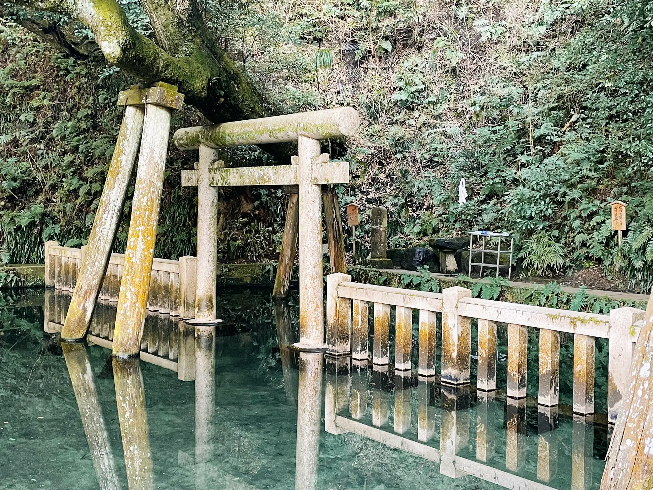茨城県 神秘的神社 | 優加8124が投稿したフォトブック | Lemon8