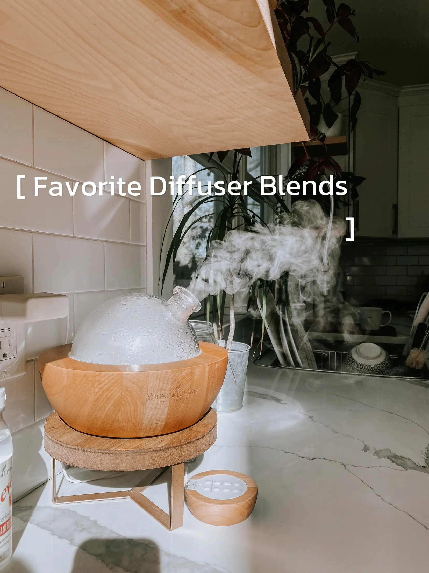 Santal Diffuser Oil Review by #Sesneslabs, Diffuser Oils