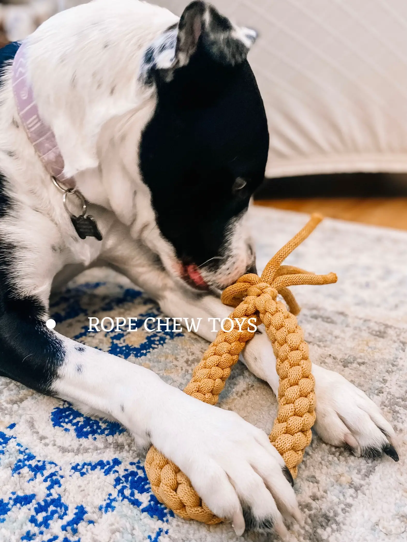 EASY DOG FOOD TOYS- BOREDOM BUSTERS- ENRICHMENT TOY RECIPES 