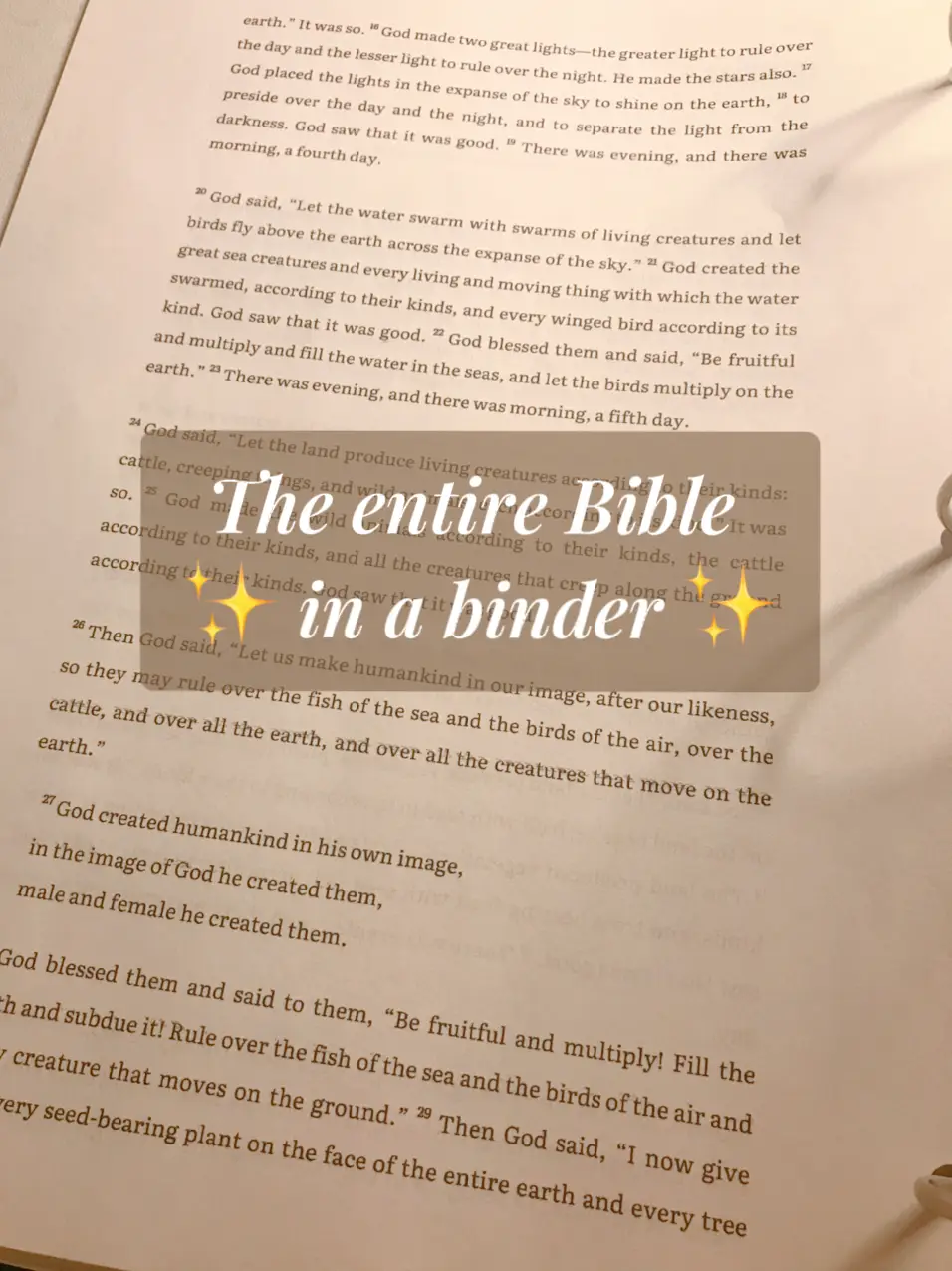 New Living Translation Loose Leaf Bible with Binder (Loose-Leaf)