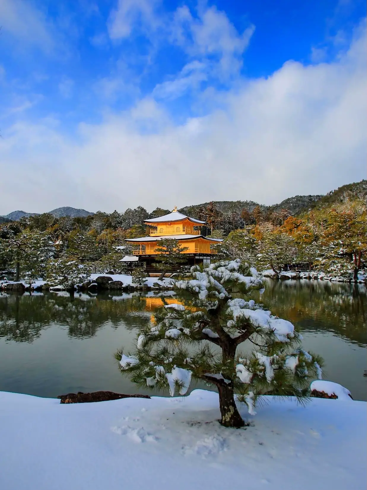 京都】雪景色の金閣寺 | チサトが投稿したフォトブック | Lemon8