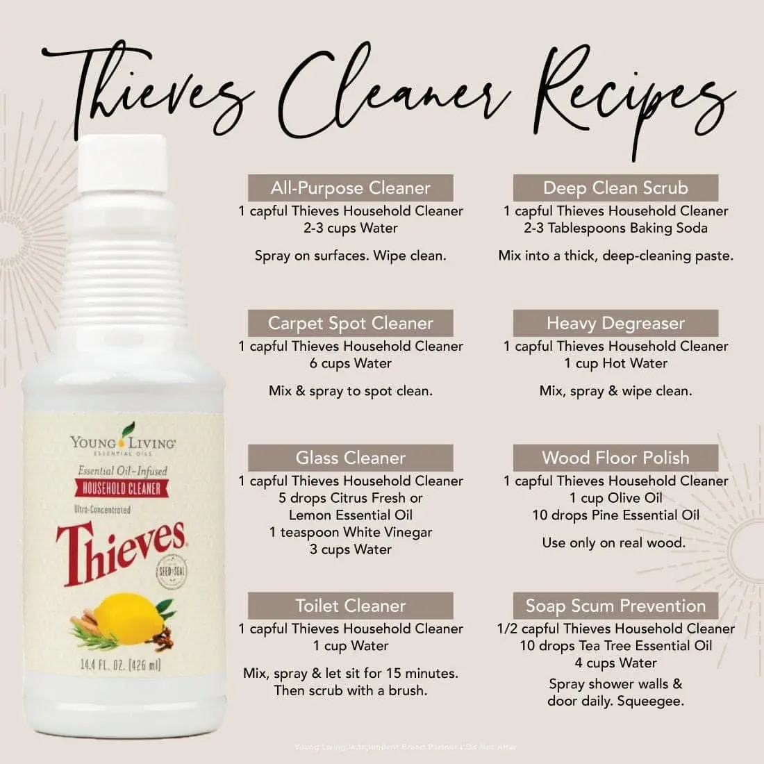 Thieves Cleaner Recipes Gallery