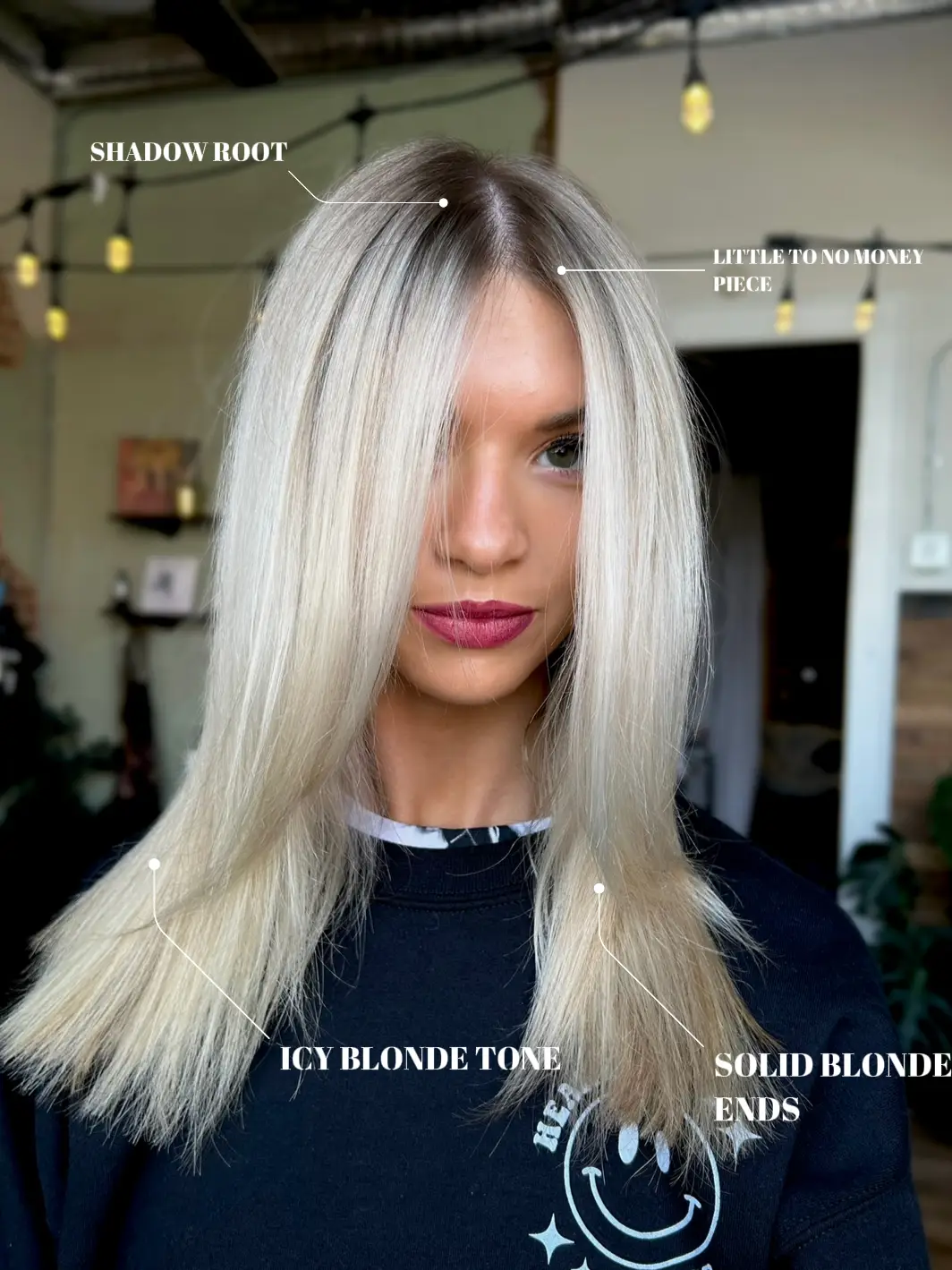  Palette Permanent Scandinavian Blonde Organic Salon Hair Colors  100 : Everything Else