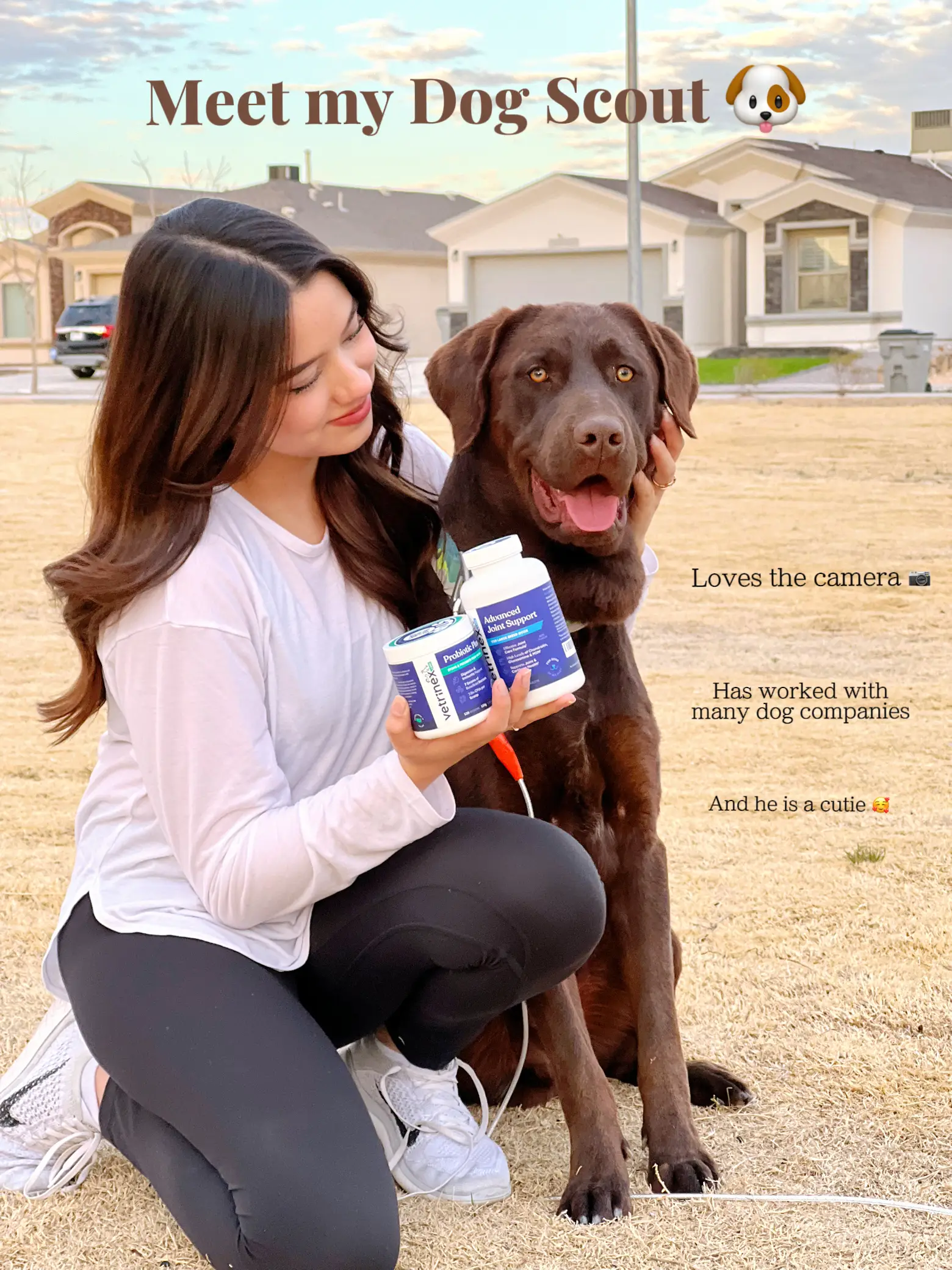 Meet my Dog Scout 🐶 | Galeri diposting oleh UGCBethanyWest | Lemon8